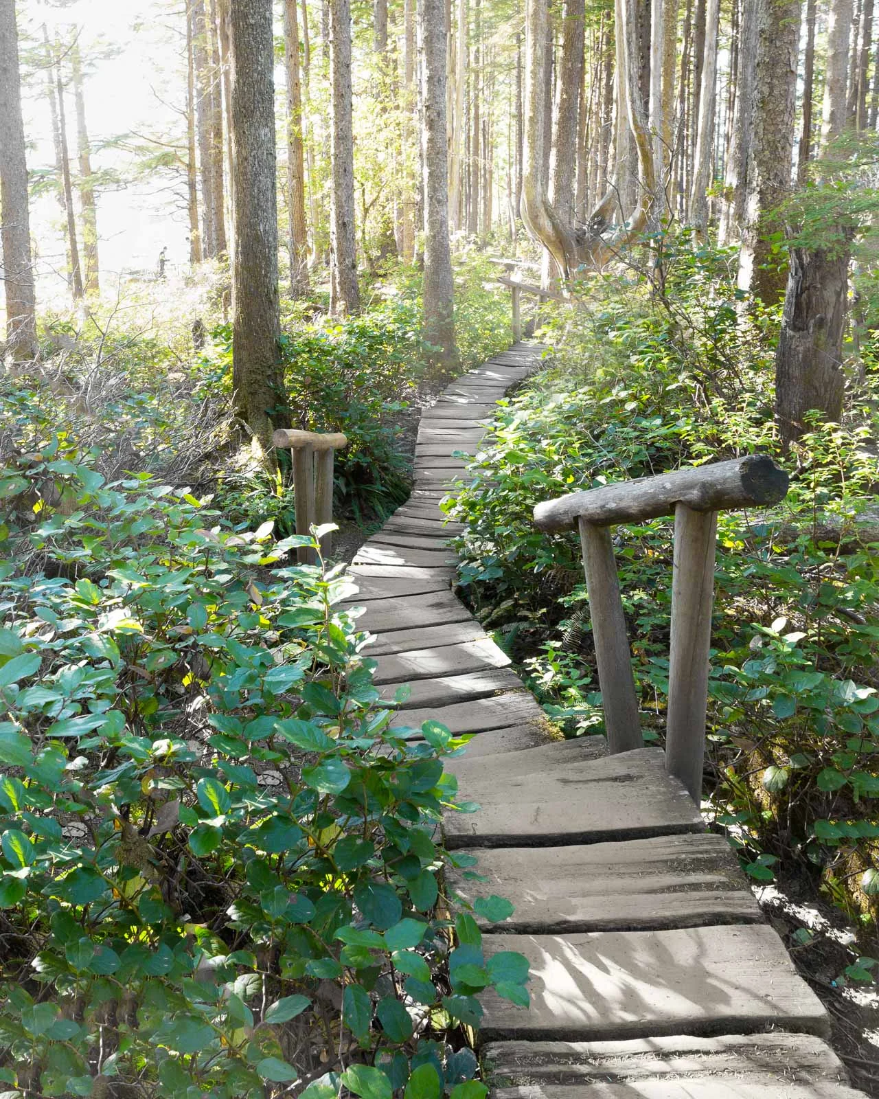 She Explores: La Push, Washington