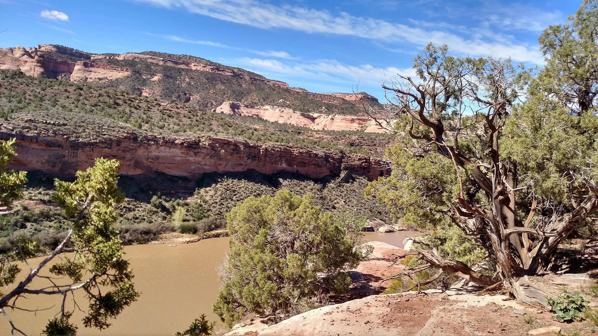 Horse Thief Mountain Bike Trail overlooking the Colorado River in Fruita, CO