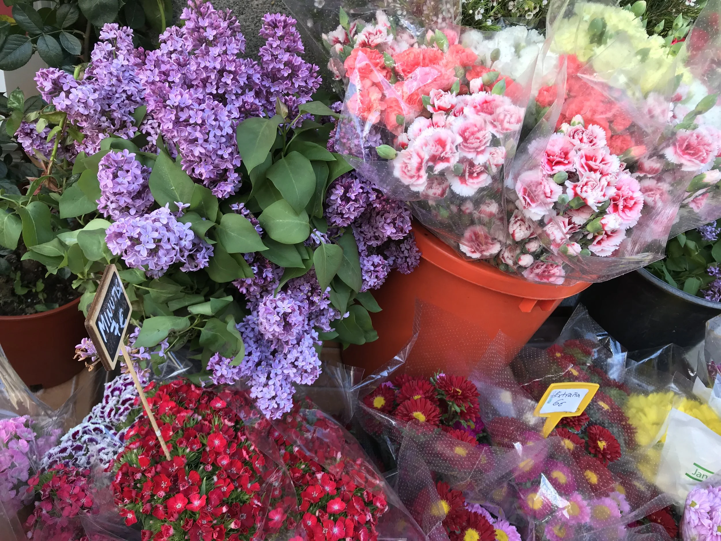 Madrid flower market