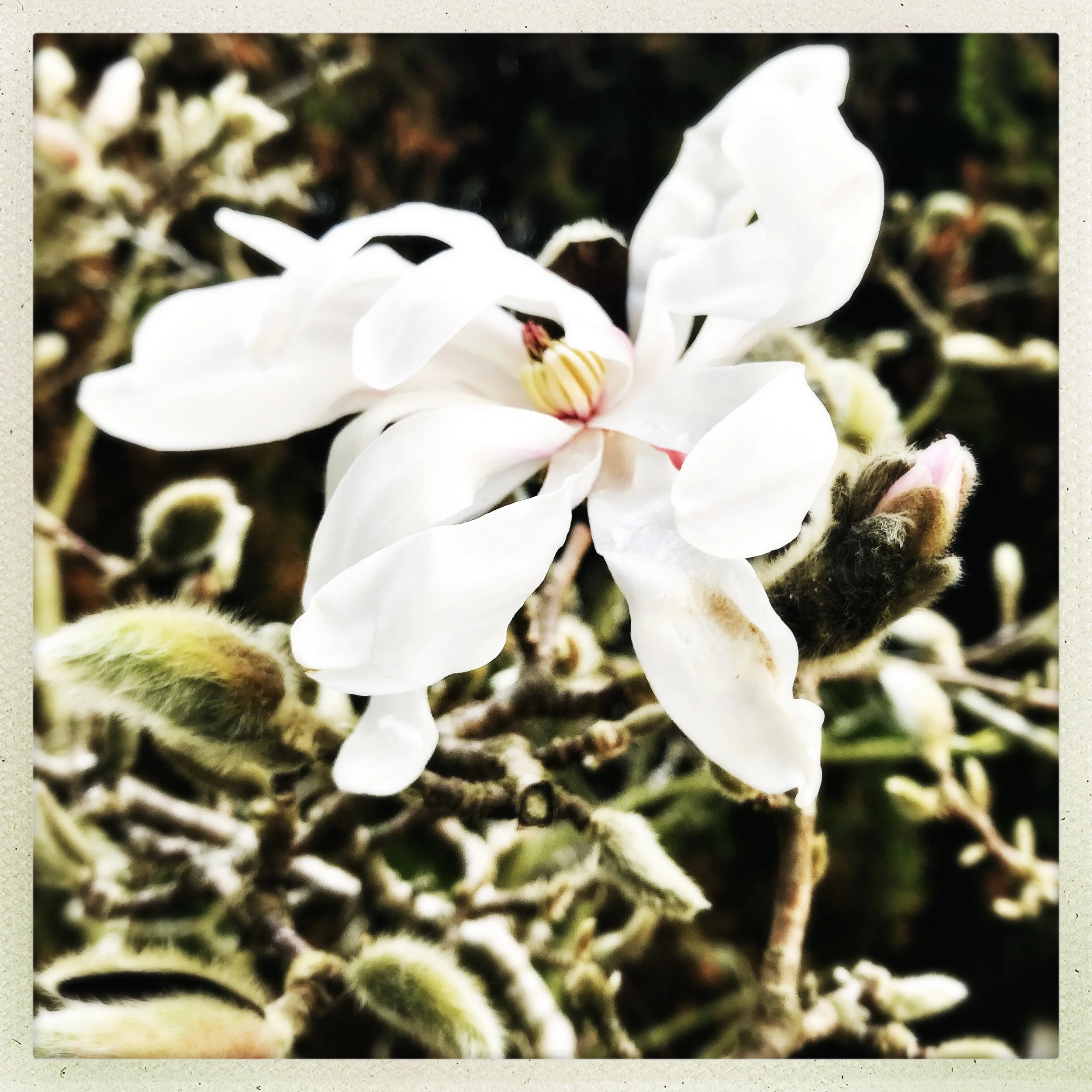 Just outside the DeYoung Museum (SF)