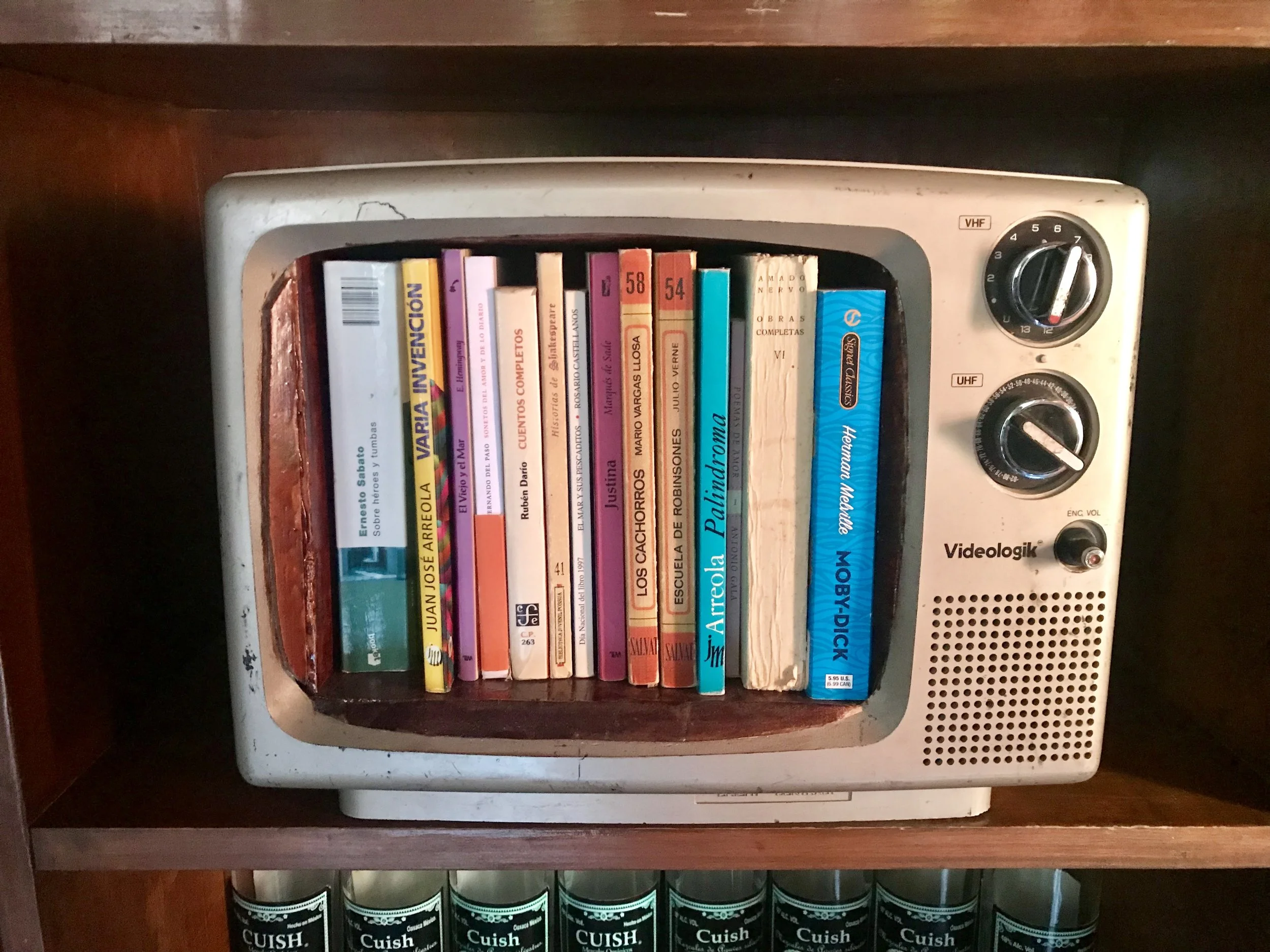 In a groovy, tiny Oaxacan cafe and mezcal bar, this art piece was on the shelf next to us.