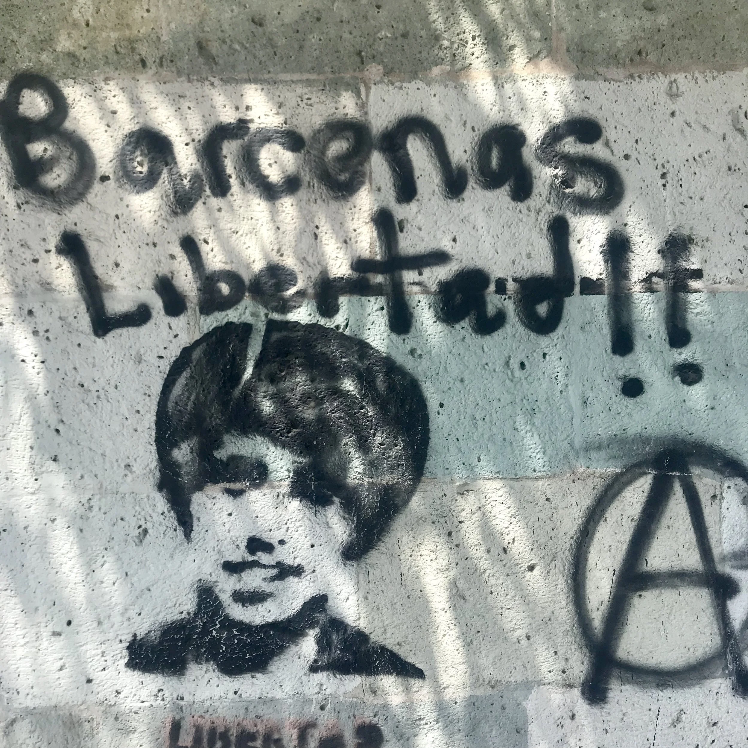 Politics and stencils on a wall - don’t know who Barcenas is…