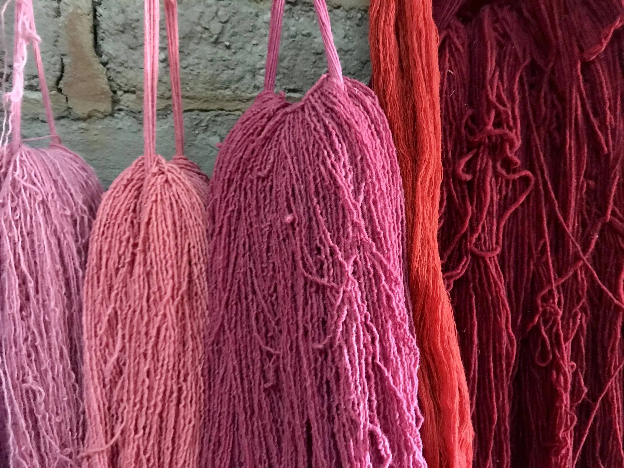 Shades of pink to red come from dyes that are derived from a little beetle in the ladybug family called cochinella. It thrives on cacti in Mexico and was an original source of wealth in the “new world”.