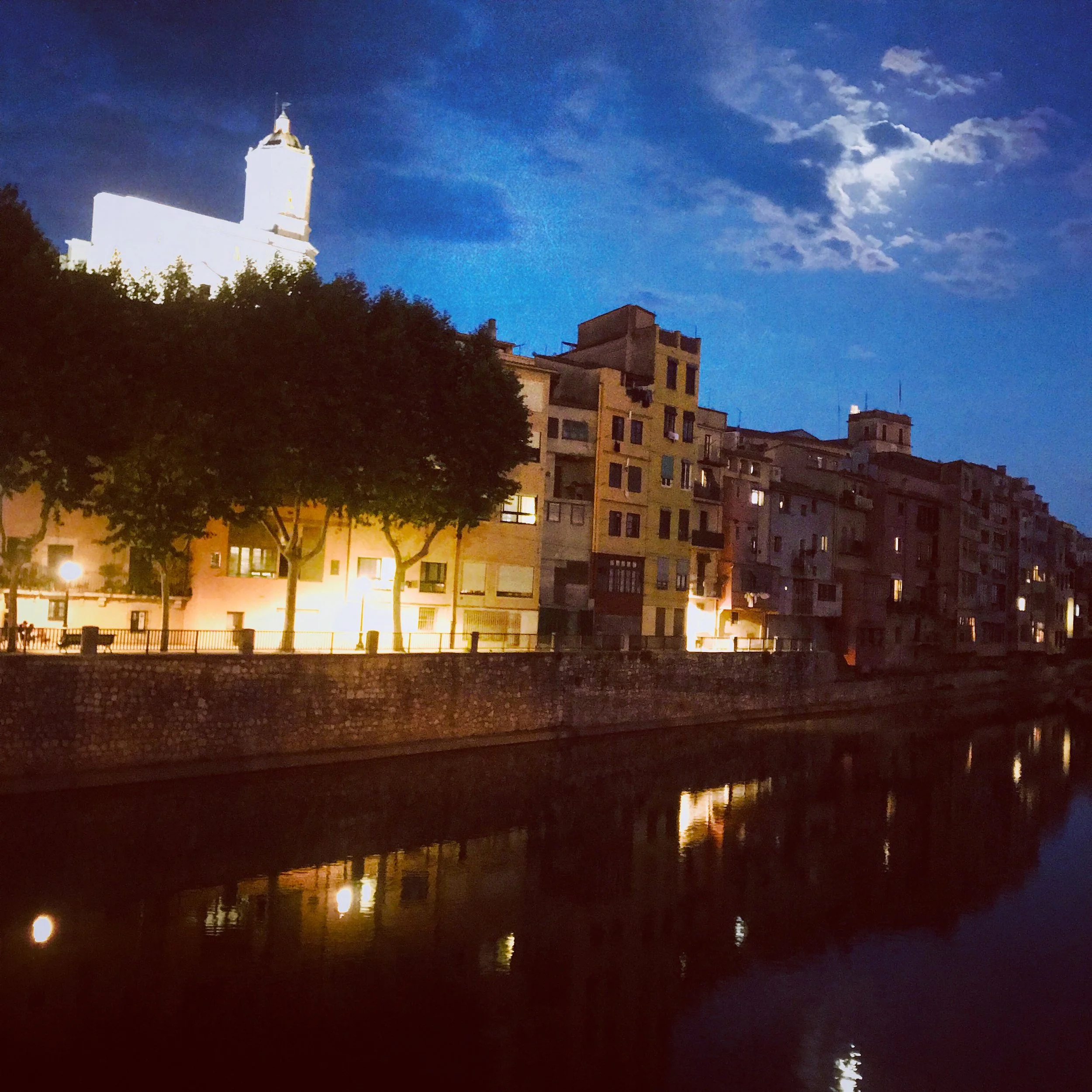 Night view with full moon from the bridge near our place. That’s our biggest cathedral all lit up.