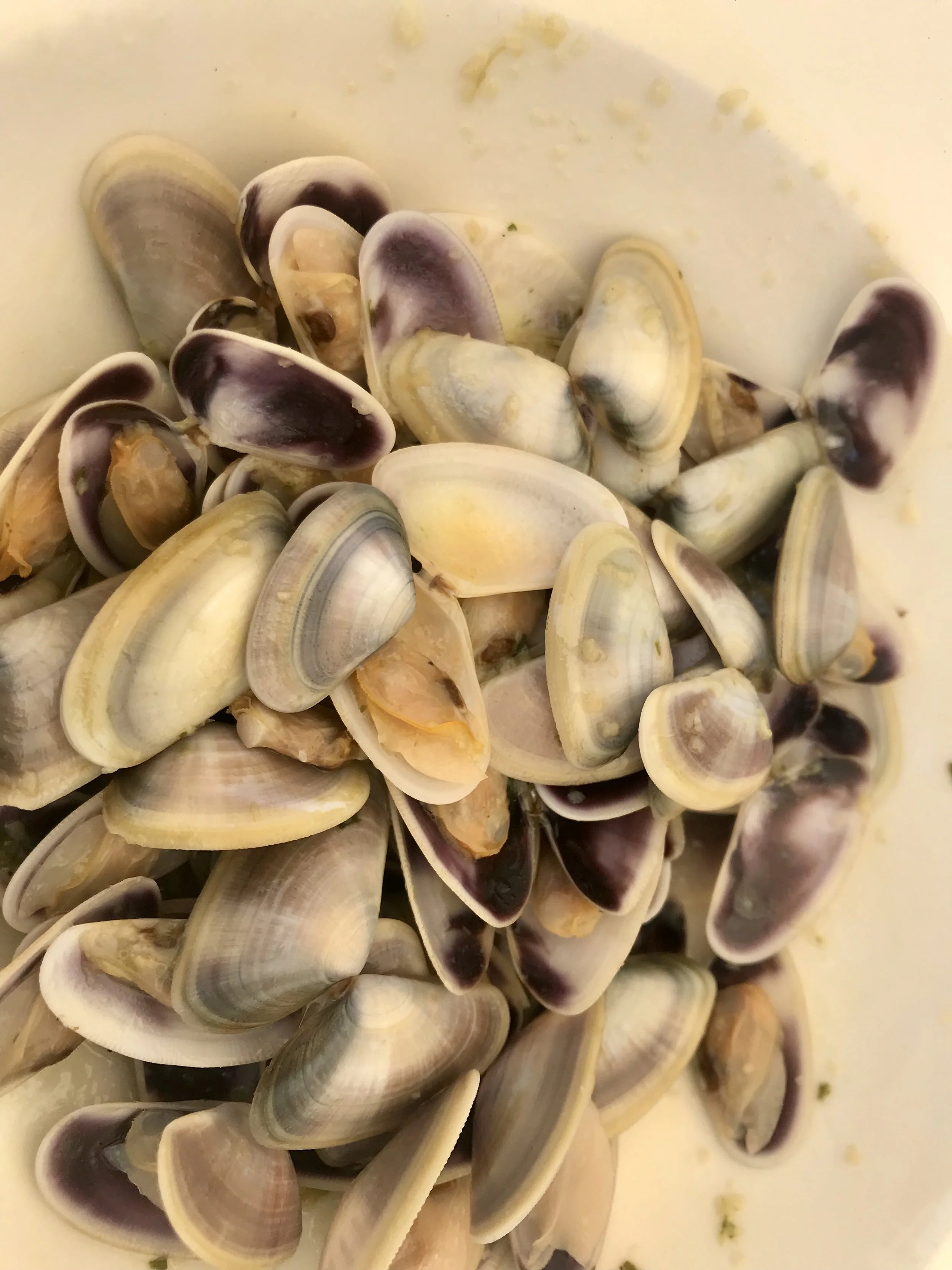 Tallarines - aren’t they lovely? They’re tiny little clams, about the size of a fingernail.