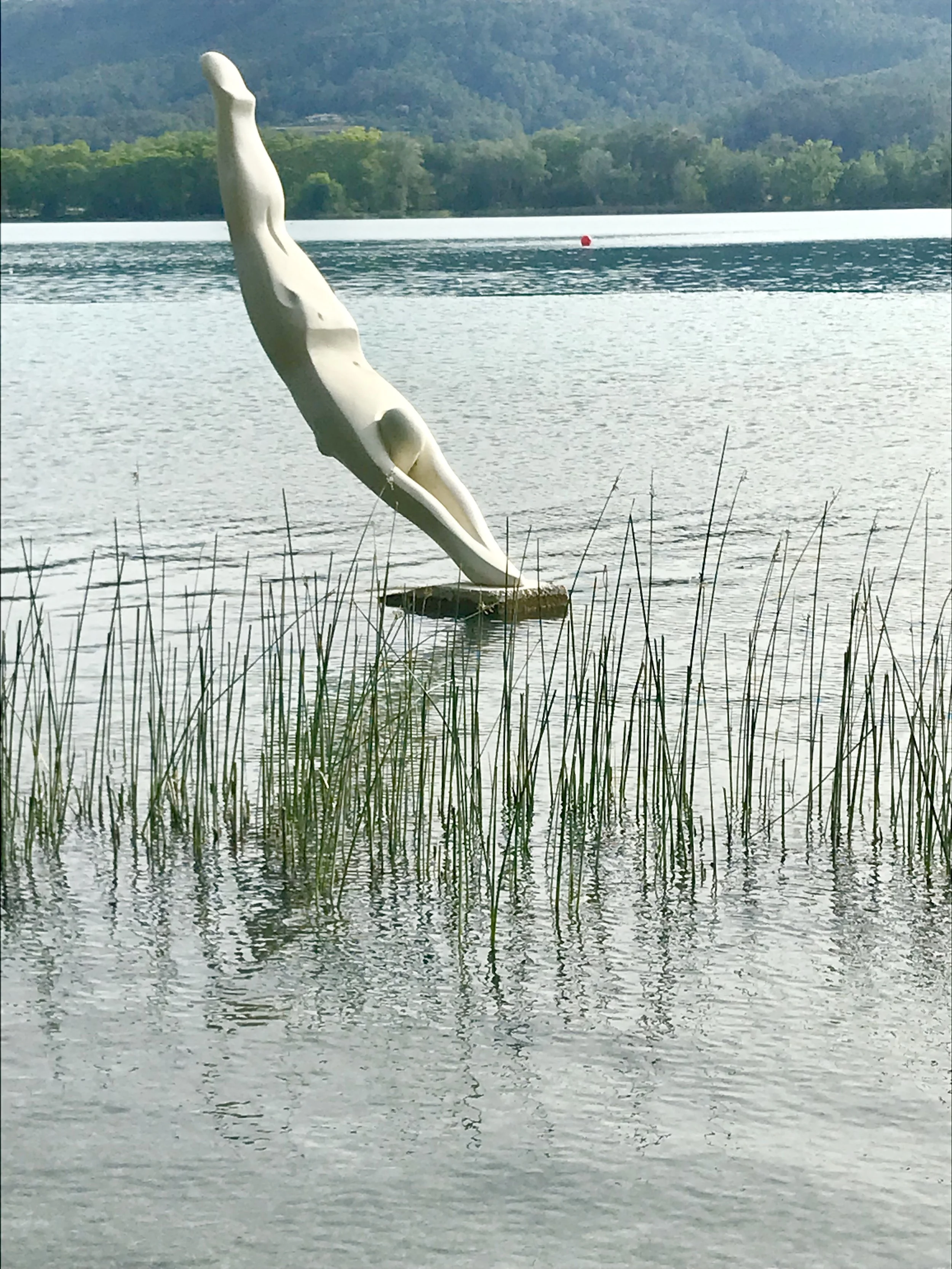What a pleasant surprise to find this sculpture that appears to be diving into the lake at this private grassy beach area run by a fitness/country club where Chinese Olympic rowers practiced.