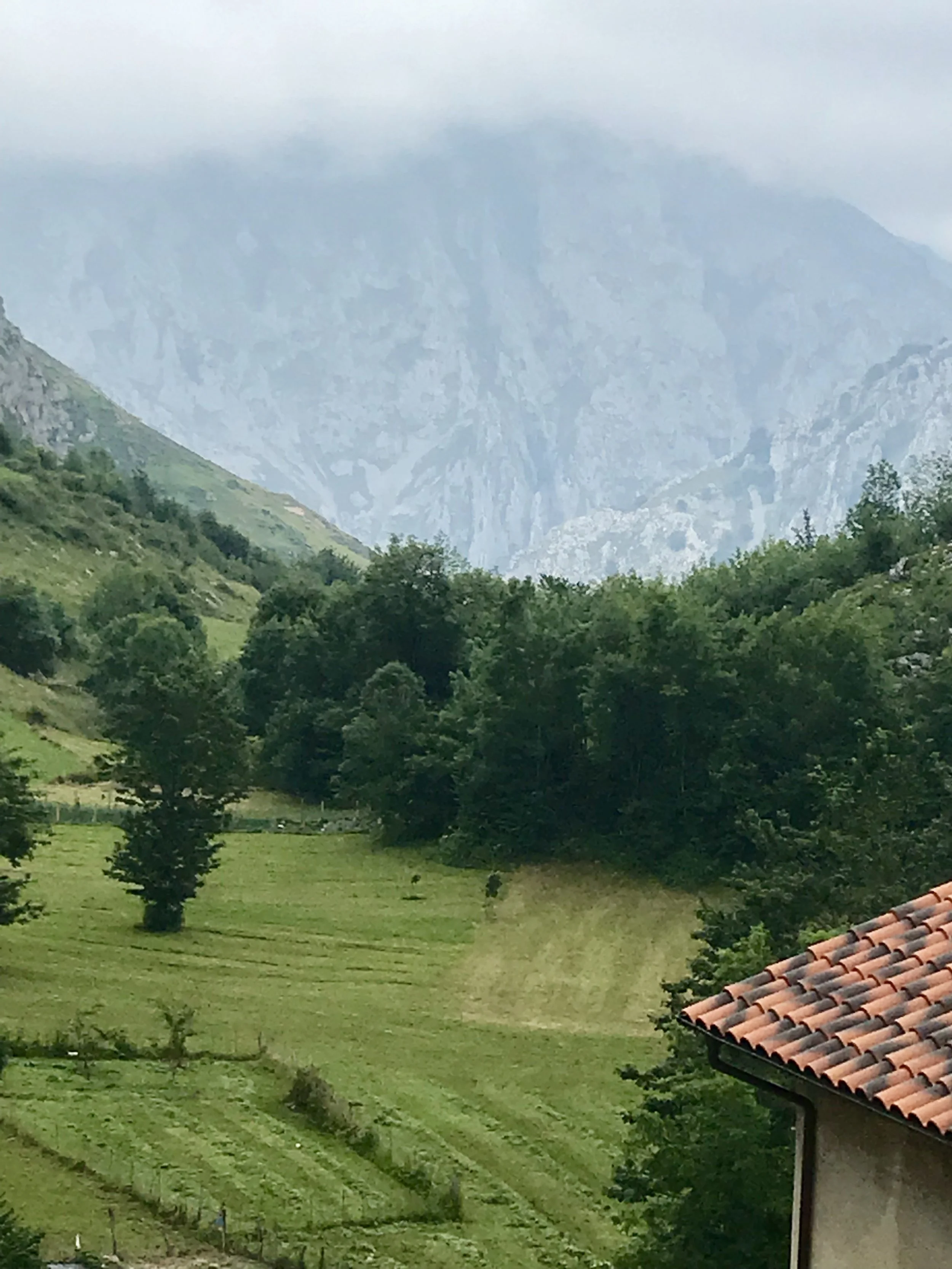 Picos.jpeg