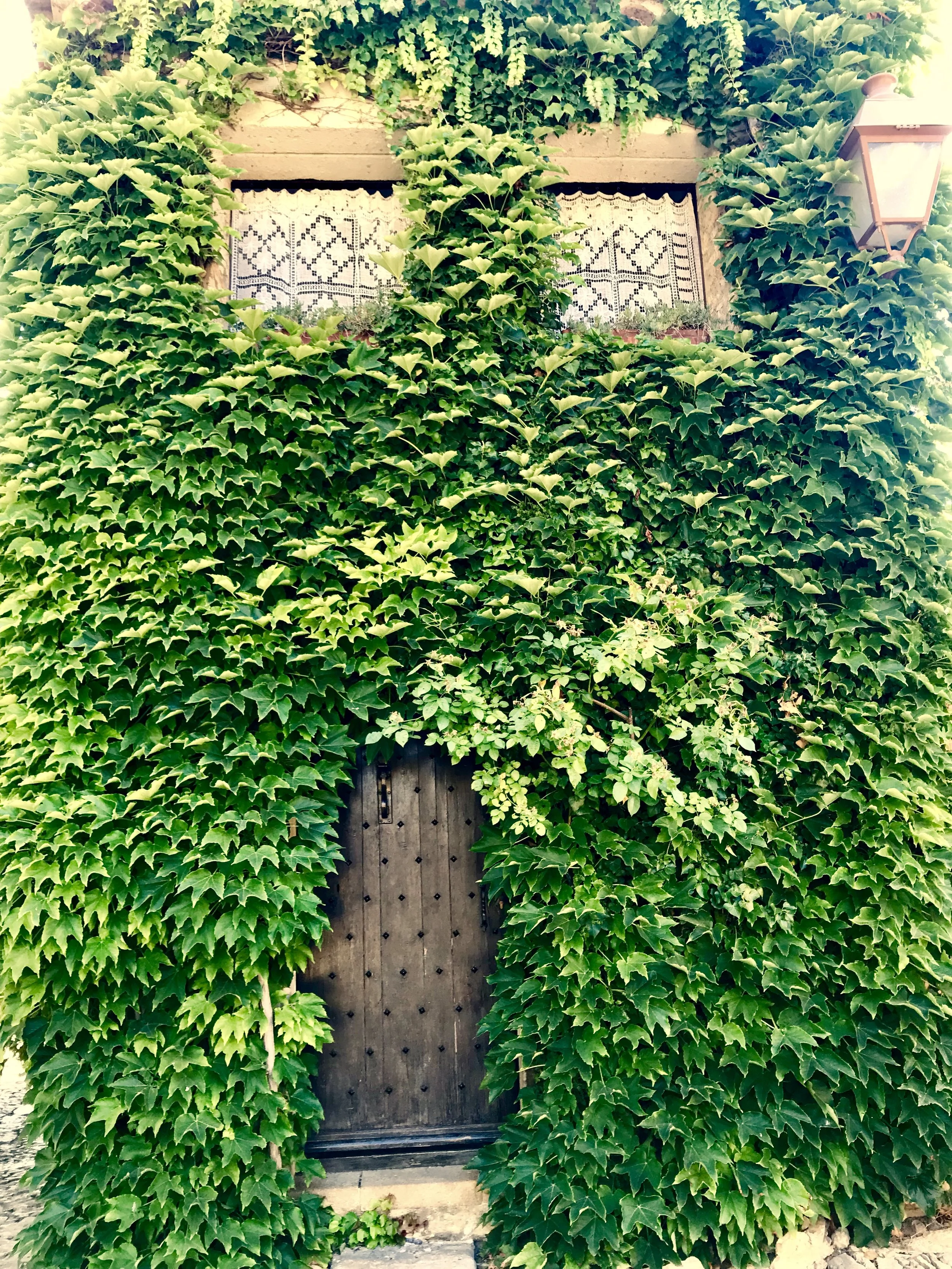Hobbit house