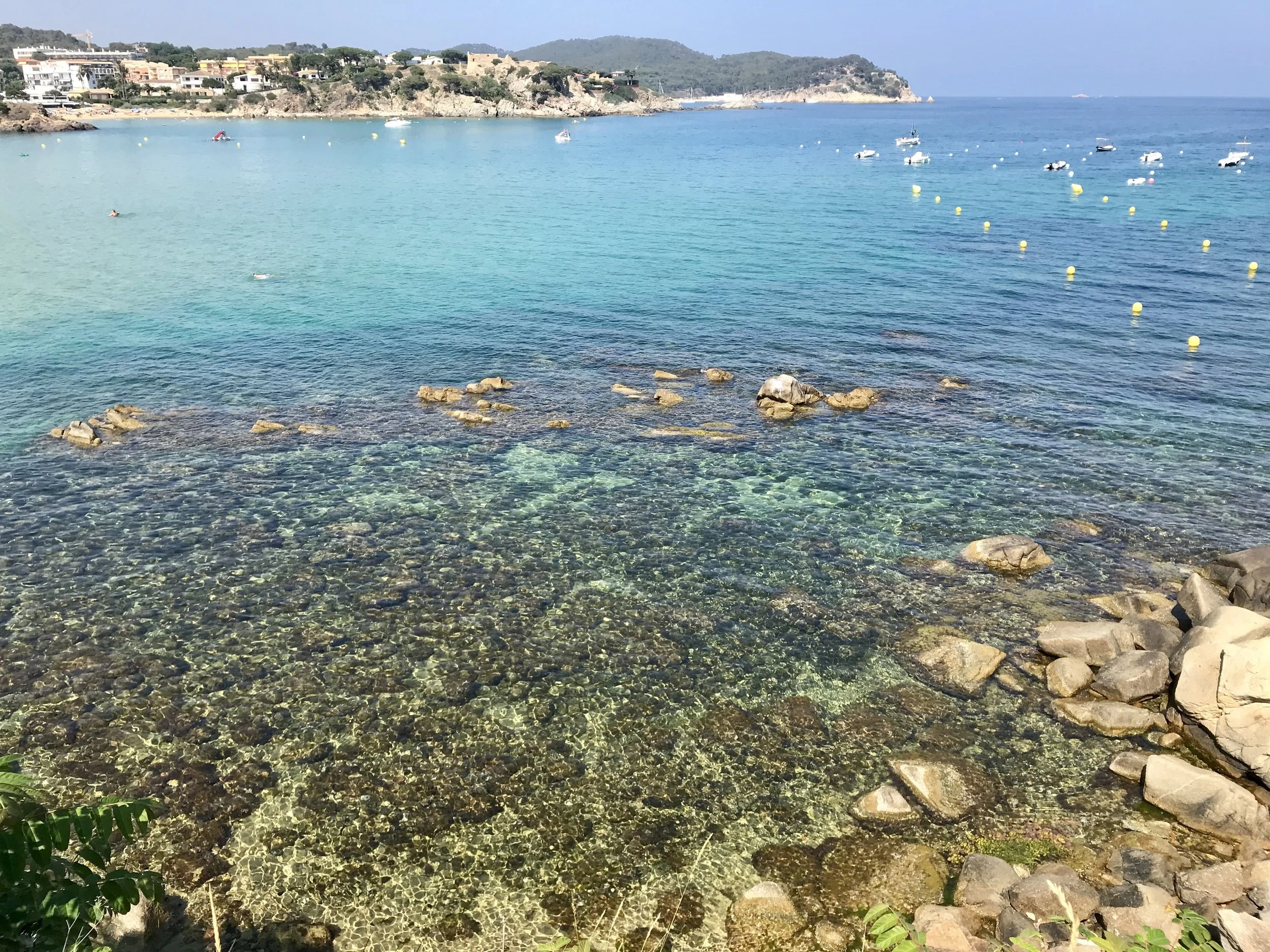 A rocky beach cove. But I’ve got my water rock shoes now!