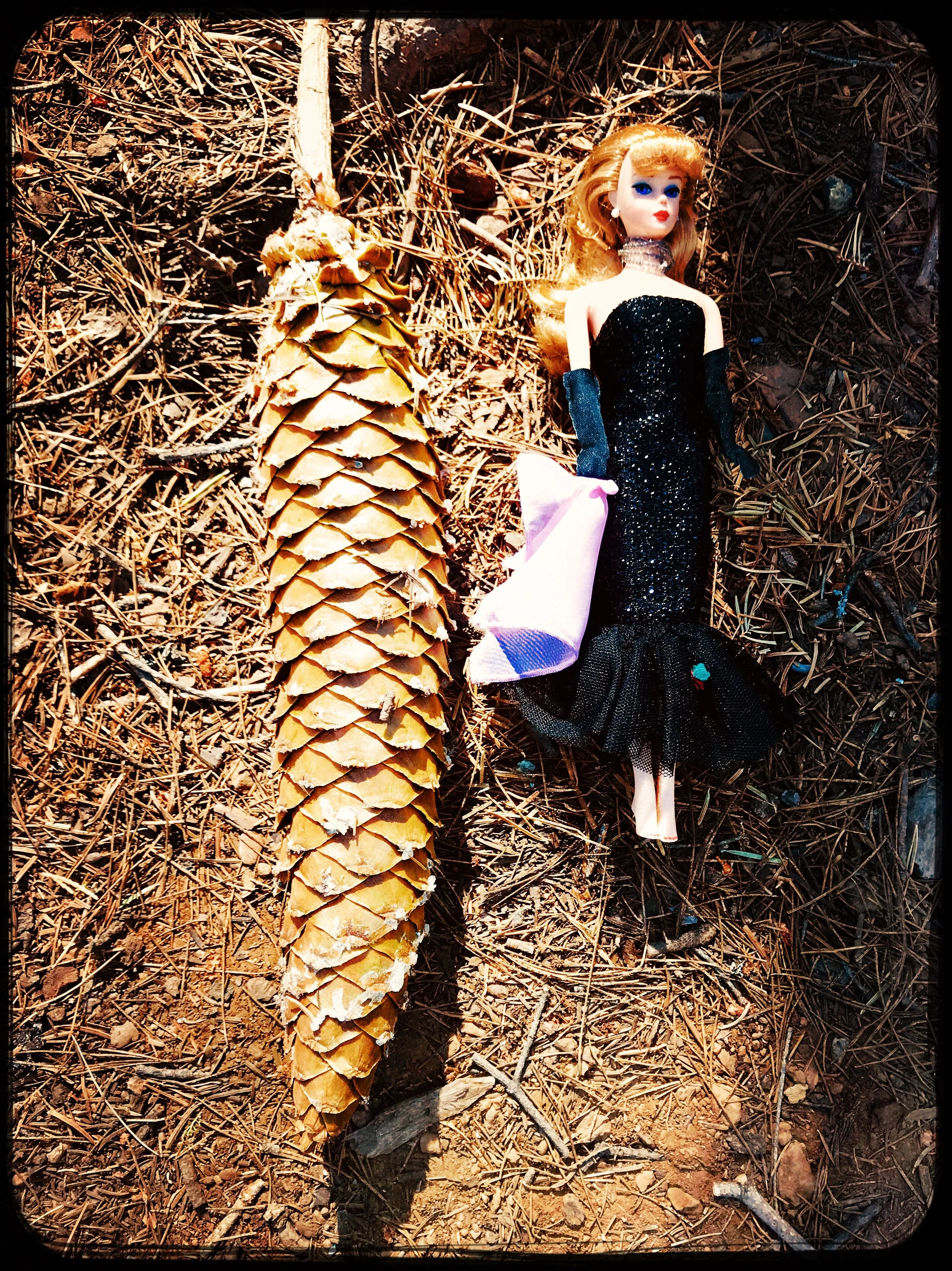 Look how big this pinecone is compared to Barbie (she never dresses appropriately for roughing it)!