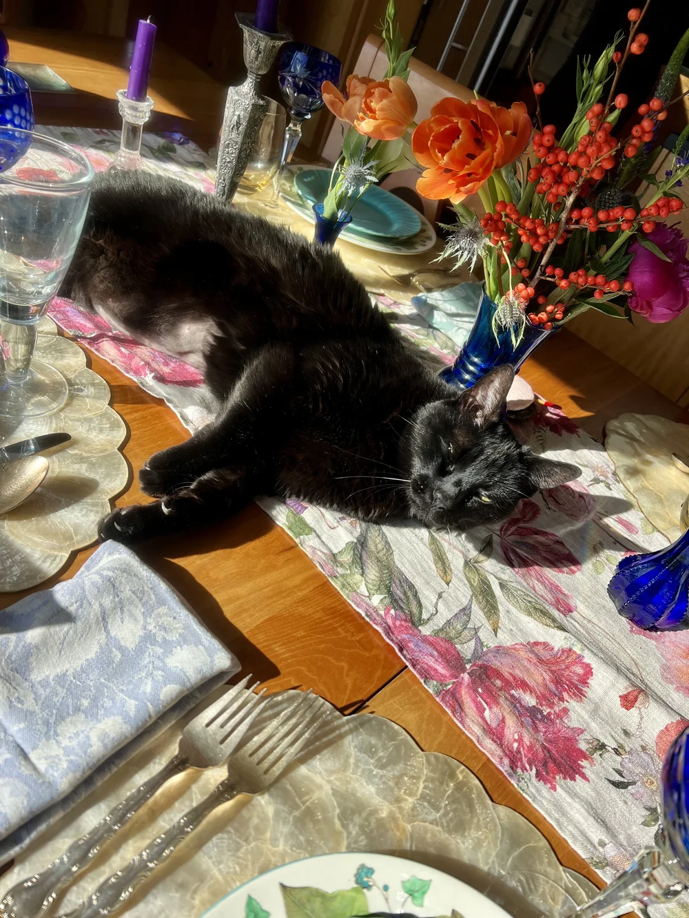 IMG_5043.jpeg