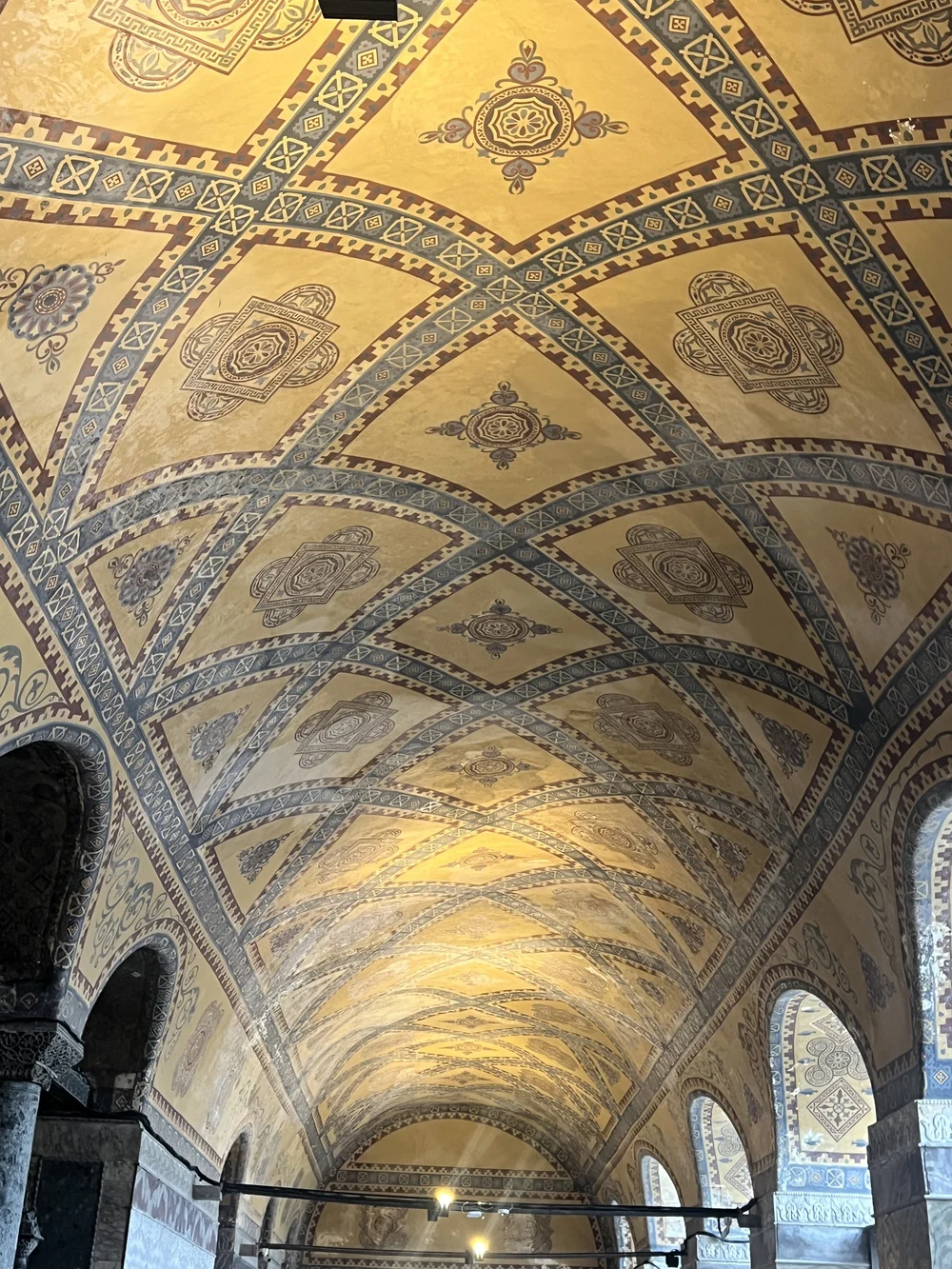 IMG_8707.jpeg