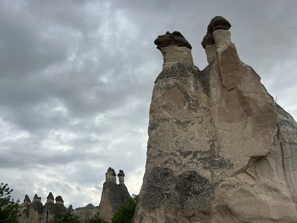 IMG_9316.jpeg
