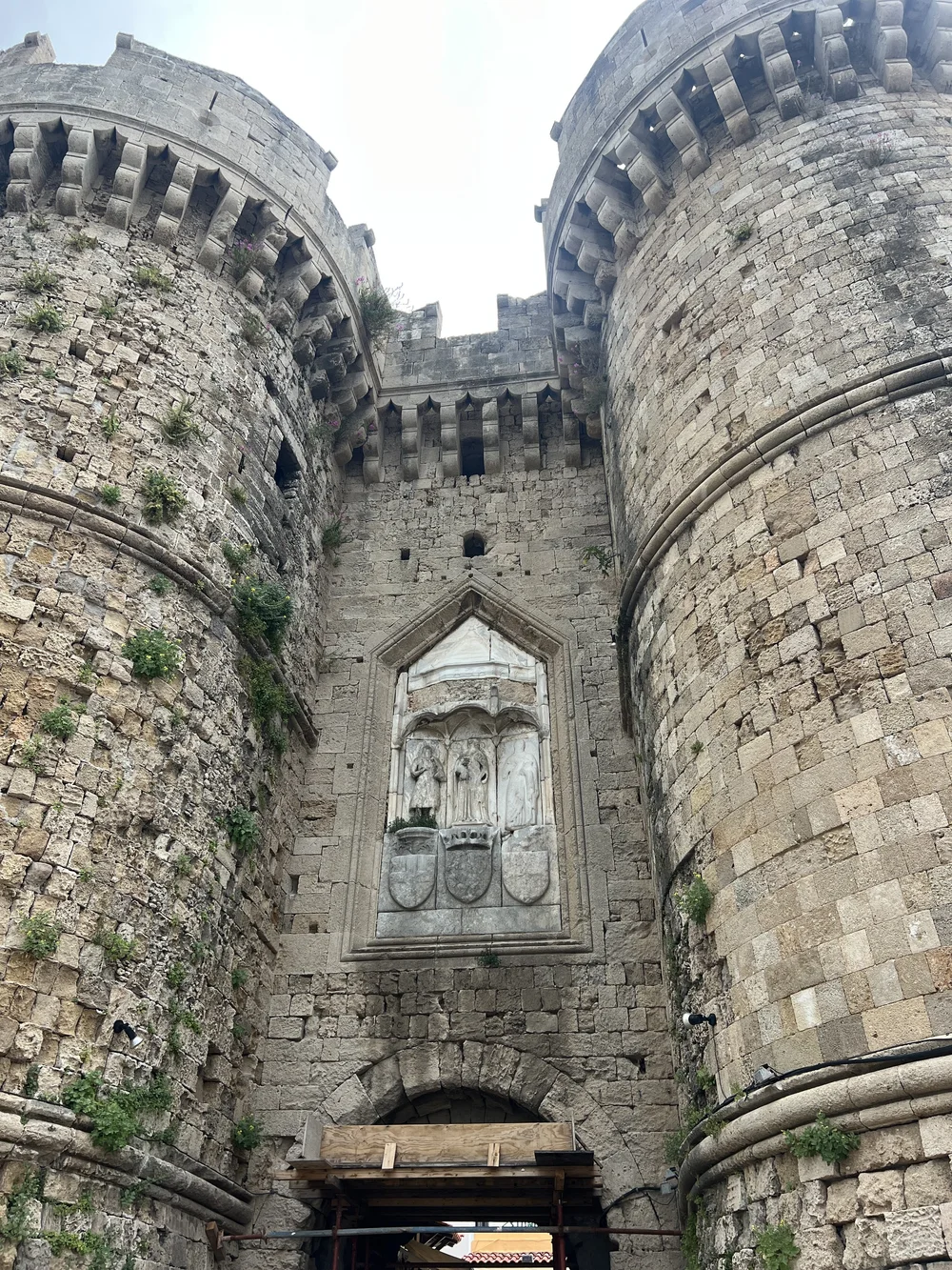 IMG_1256.jpeg