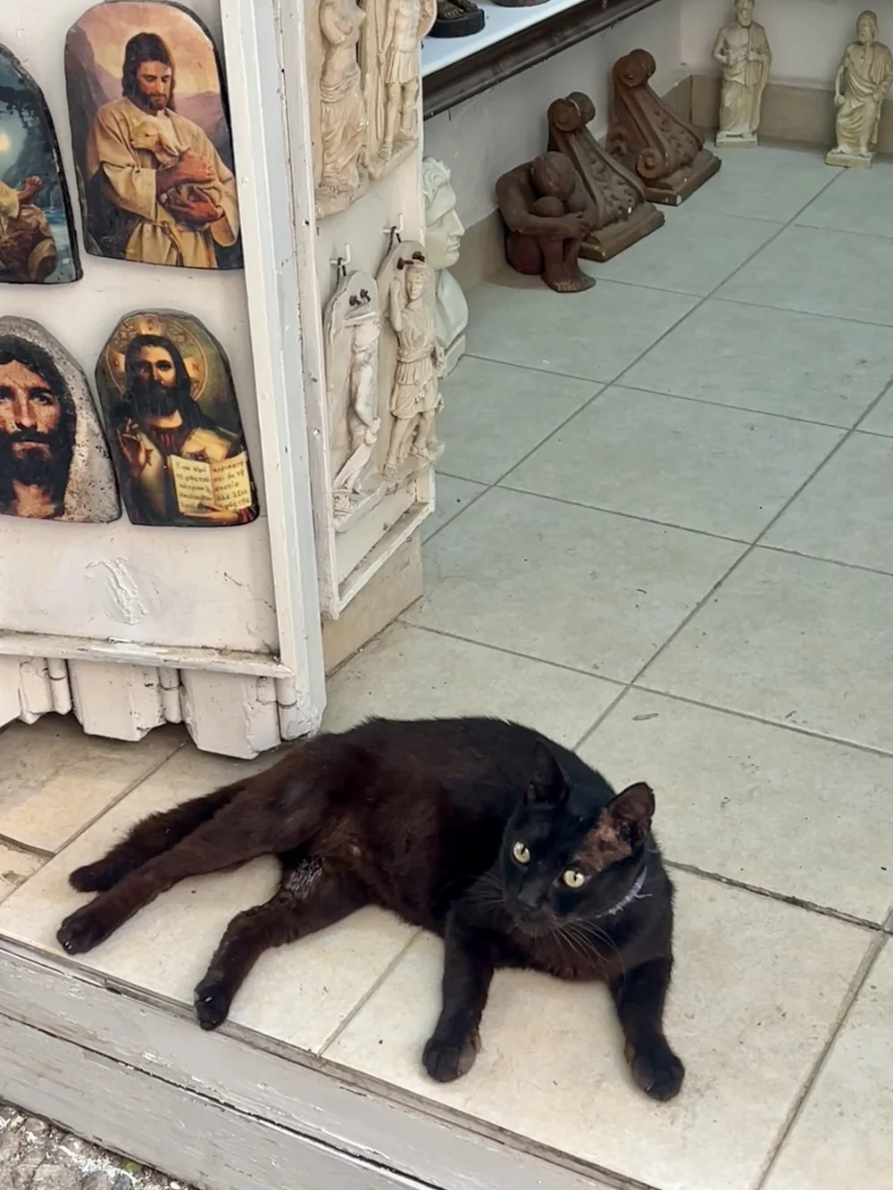 IMG_1397.jpeg