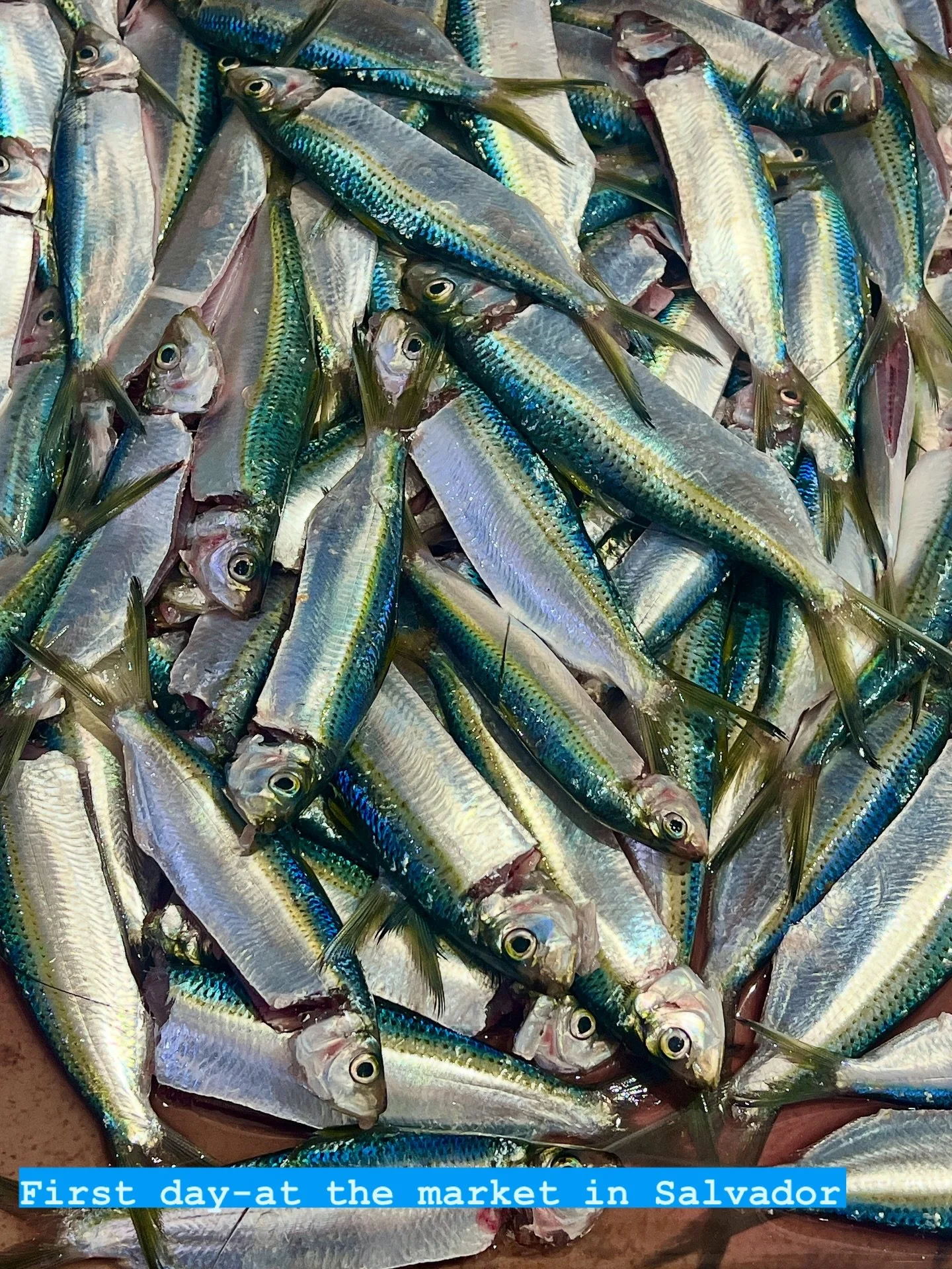 Fantastic friendly unspoiled market with beautiful and fascinating displays of produce, fish, spices, and much more. We went there to learn about food we were making then eating together in a lovely restaurant. It was fun and the (women) cooks were a