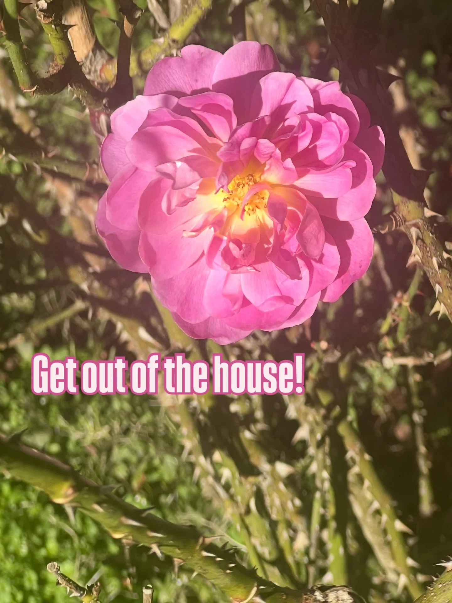 And go see my group figure show at Sausalito Center for the Arts "Drawn from Life" tomorrow from 4-7 reception, 1/10