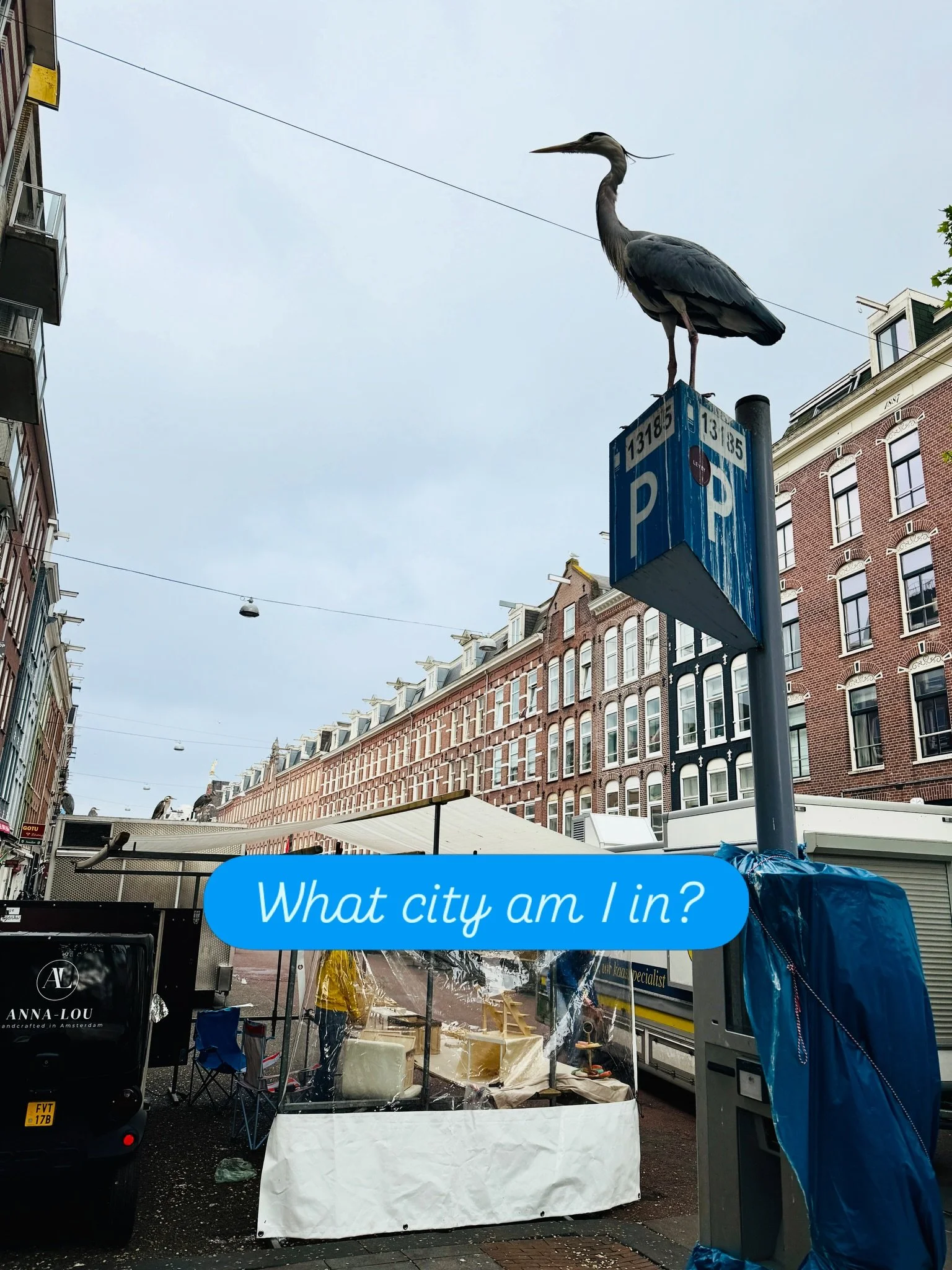 It&rsquo;s springtime in&hellip;