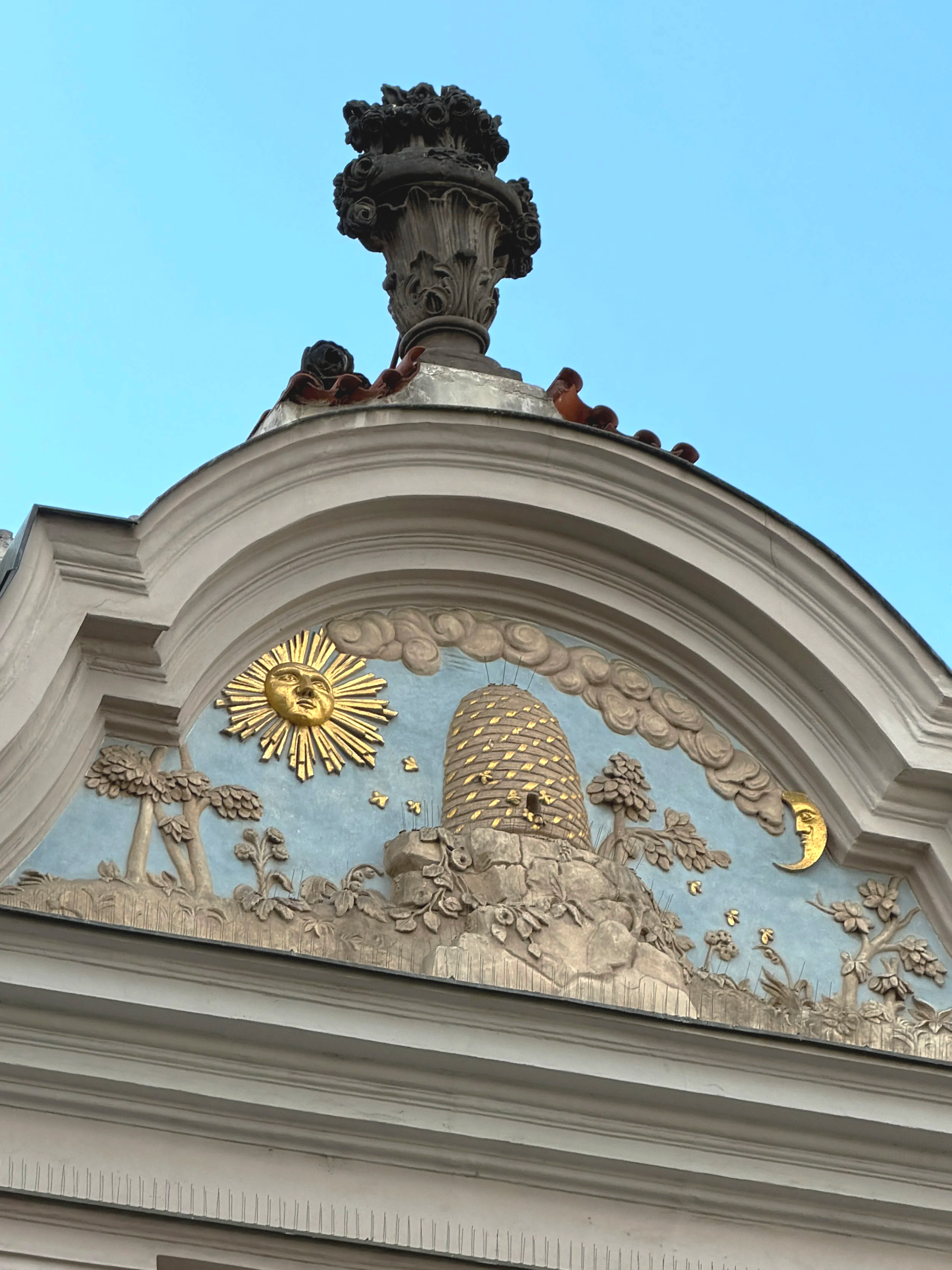 IMG_2316.png