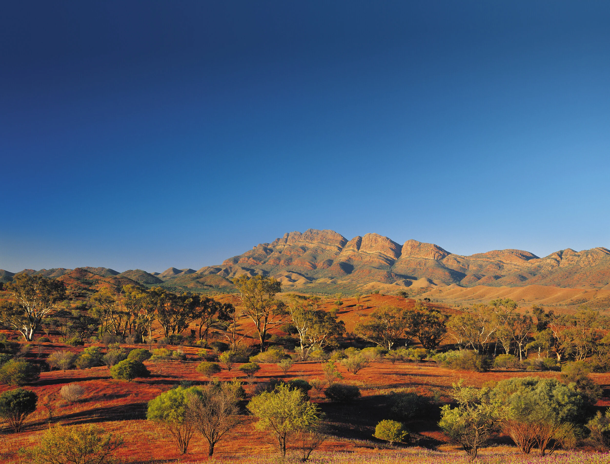 MEL.Landscape_SkyExt.jpg