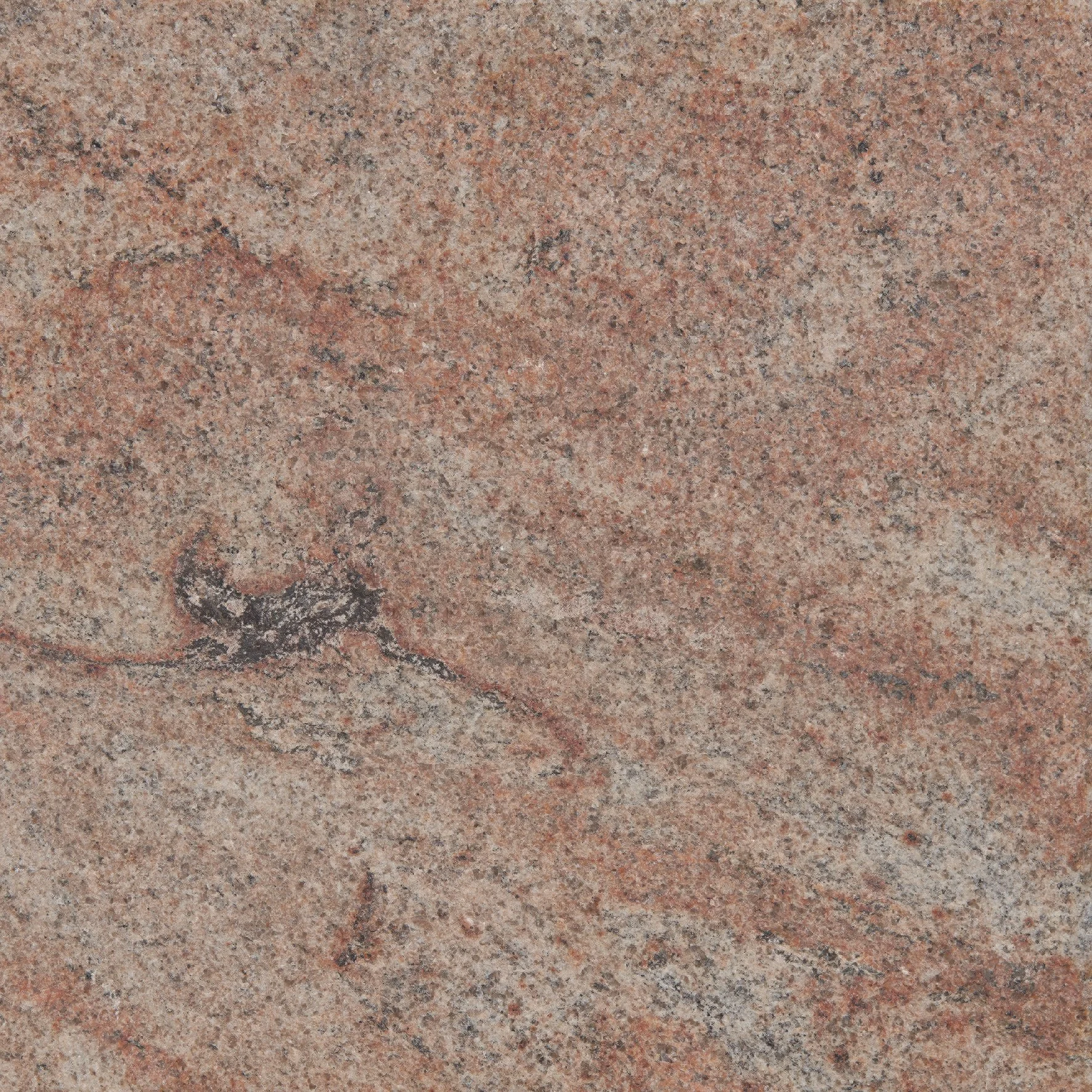 Austral Juperana Exfoliated: Bruce Rock WA