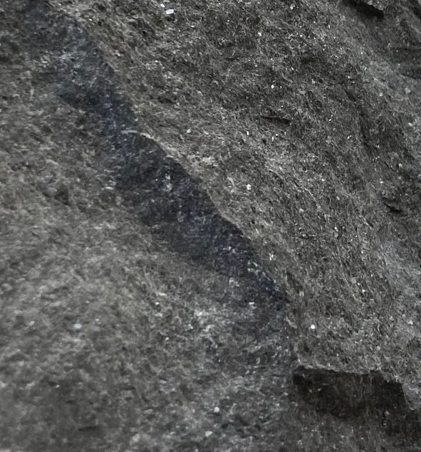 Austral Black Natural Split