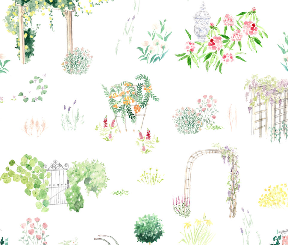 English Garden Pattern (for Anthropologie)