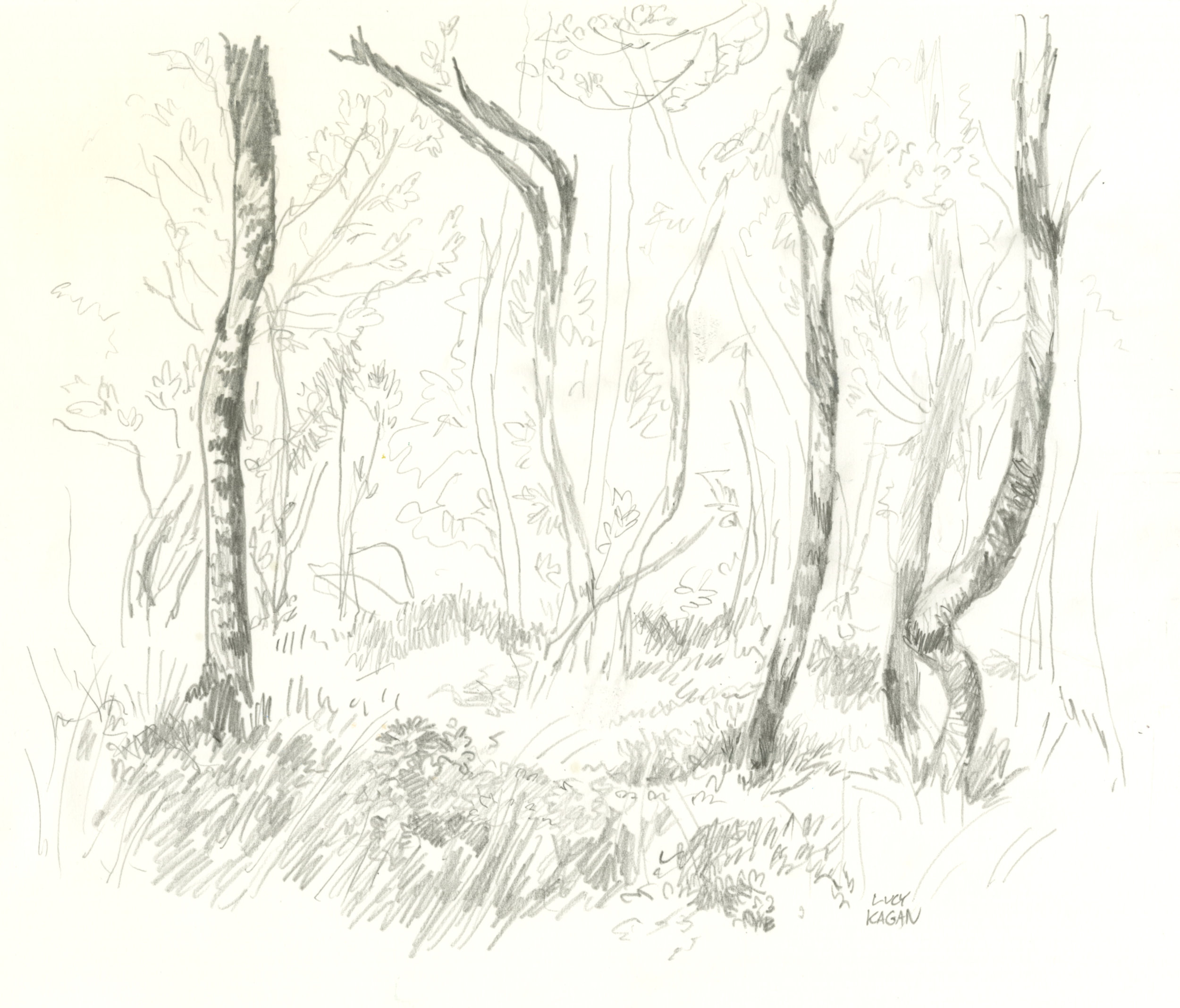 Swedish Forest by Lucy Kagan