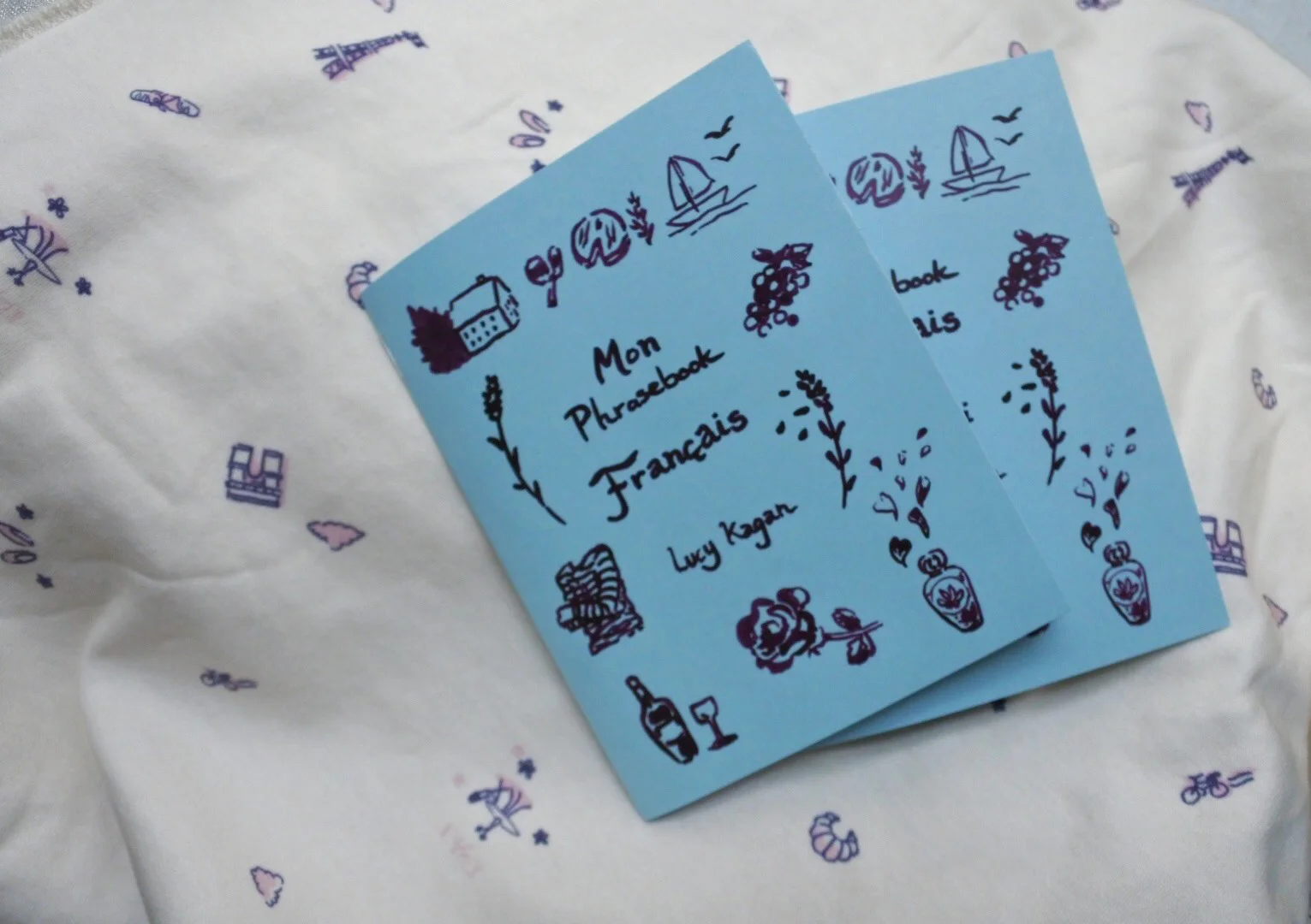 Pocket French Phrasebook