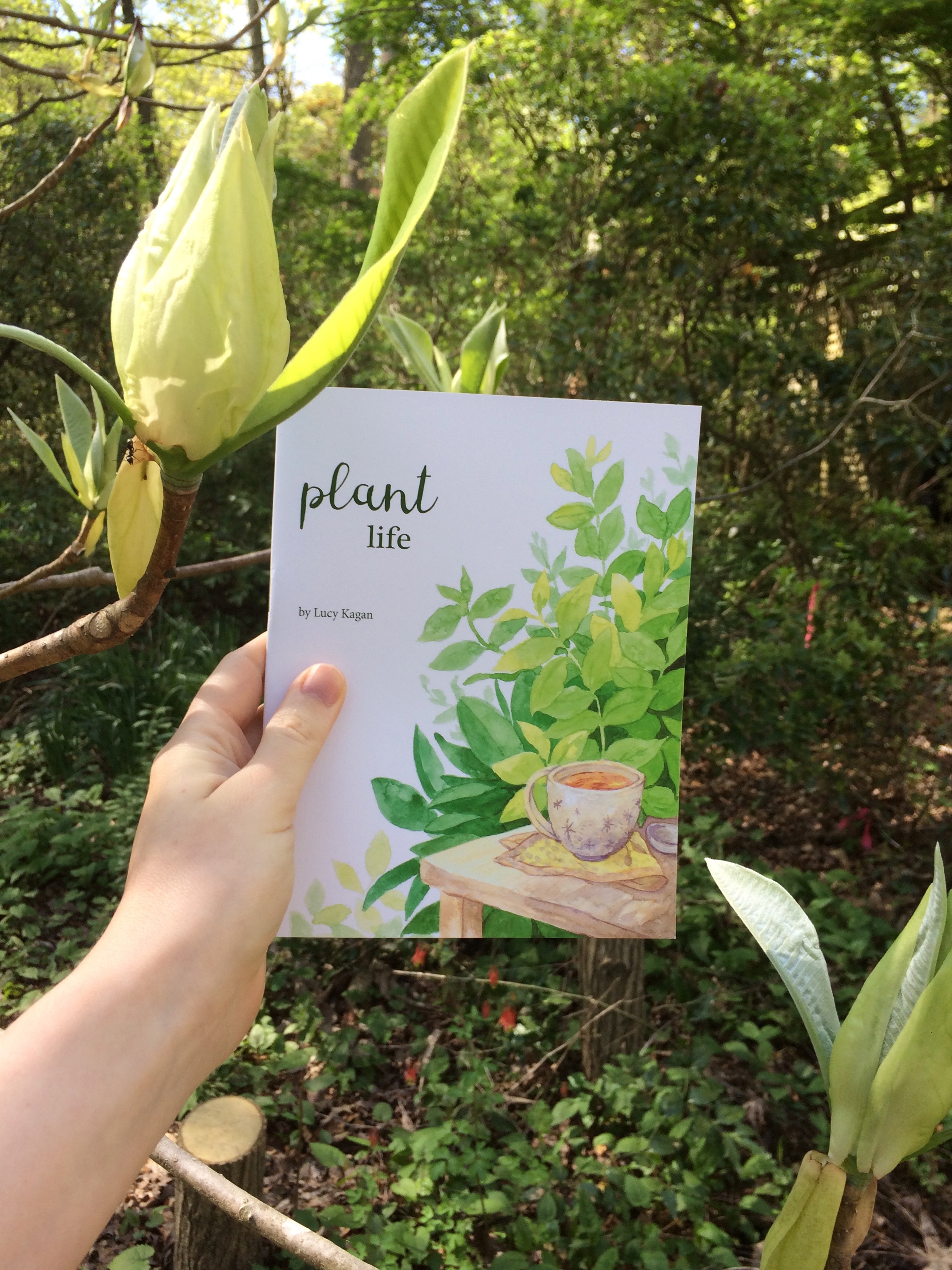 Plant Life Zine