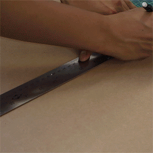 HOMELESS-DOG-HOUSE-PROJECT-Frank-Anselmo.gif
