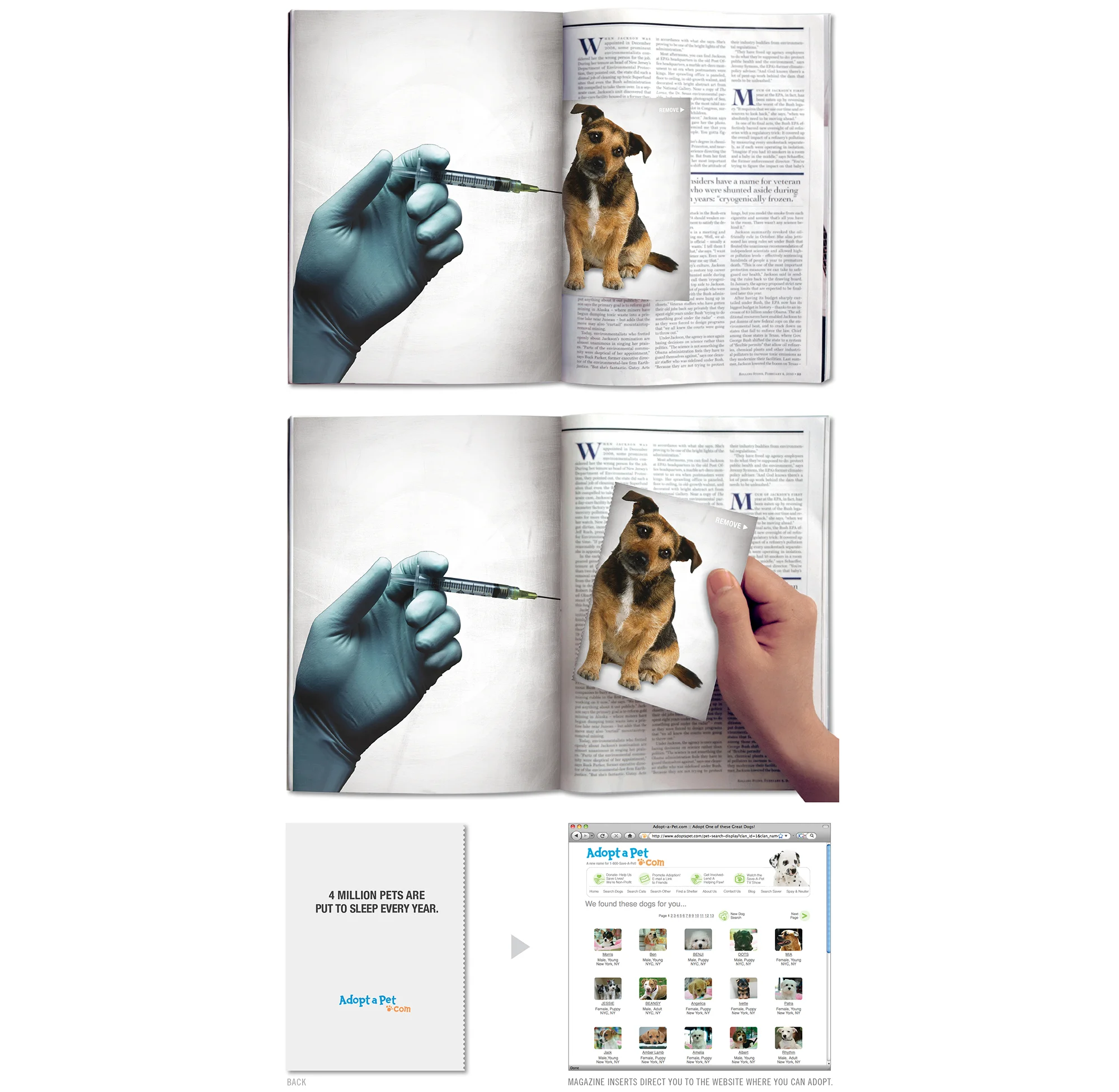 ADOPT-A-PET.COM %22Euthanasia%22 Frank Anselmo.jpg