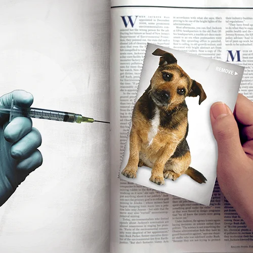 ADOPT-A-PET.COM %22Euthanasia%22 Frank Anselmo PF.jpg
