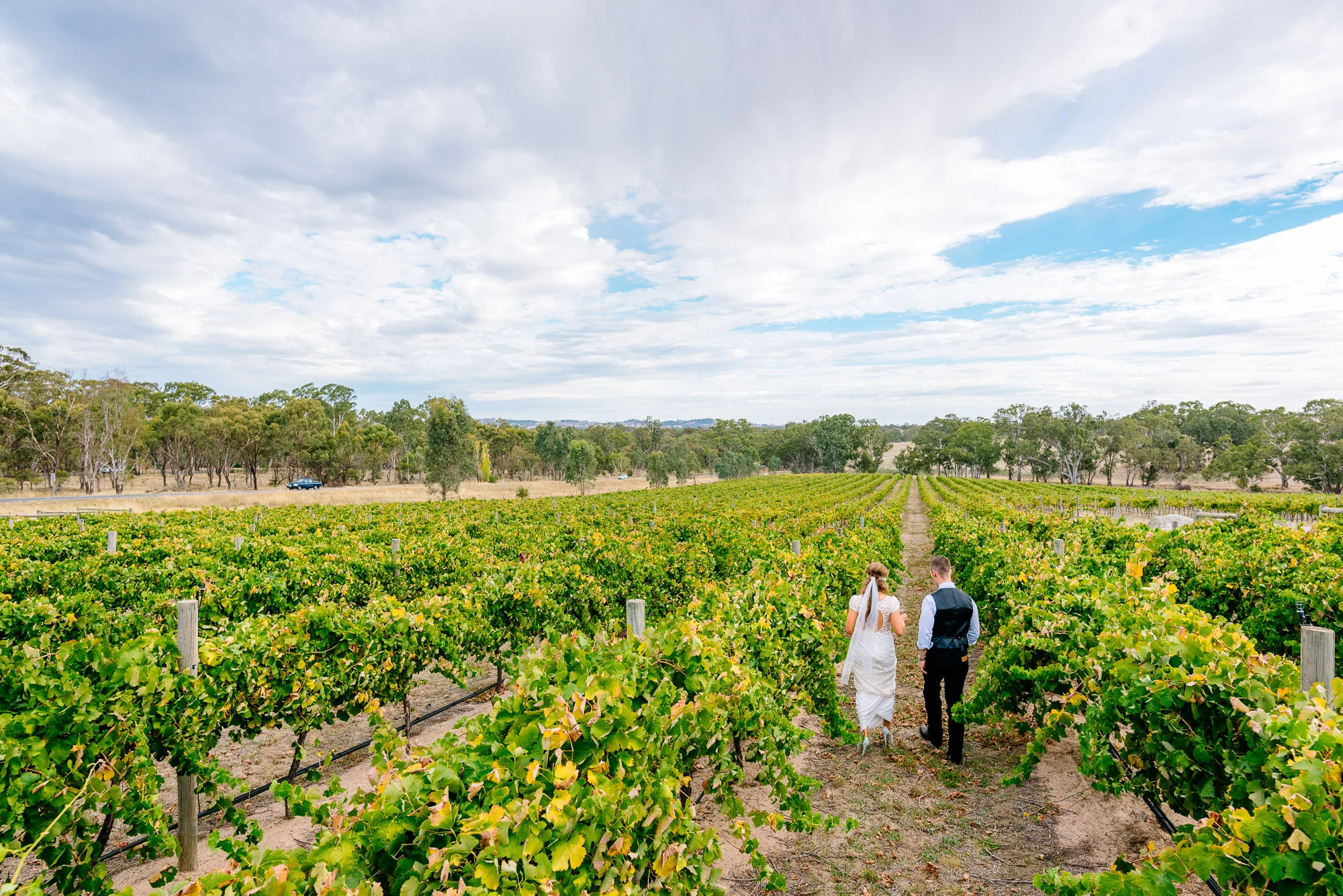 Monique and Doug walking through the vines after their wedding at Big Hill Vineyard