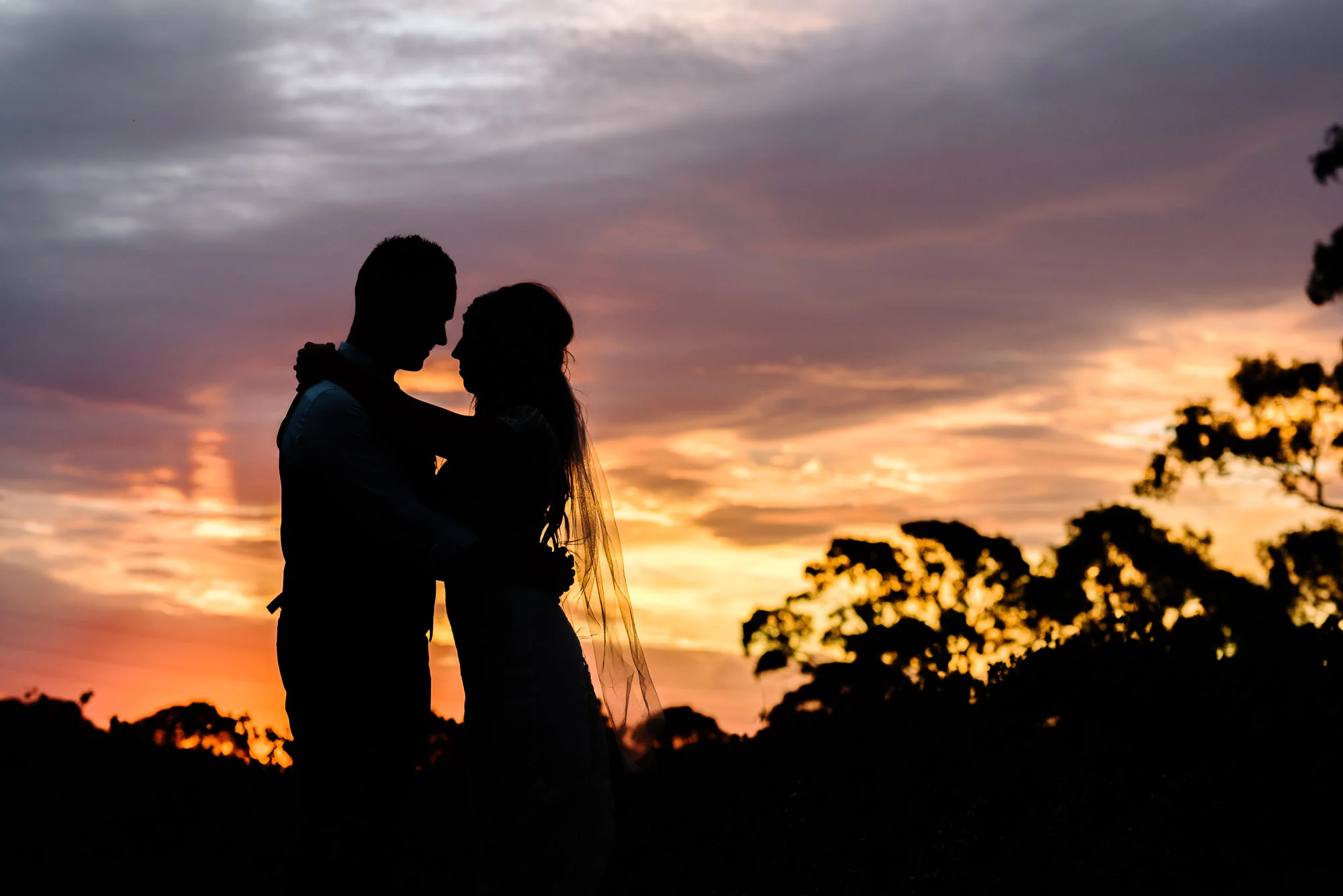 Sunset Silhouette at Big Hill Winery