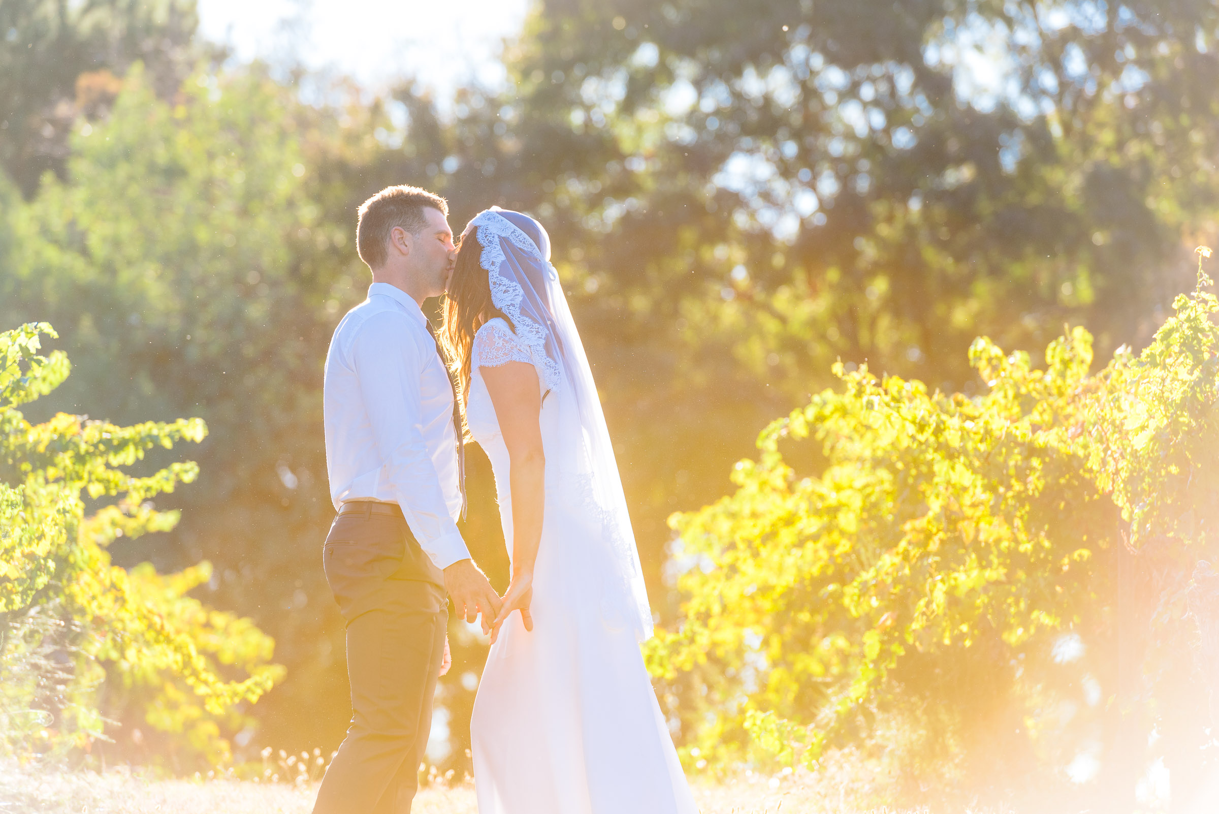 Bride and Groom kiss in the vineyard at Chateau Dore in Bendigo