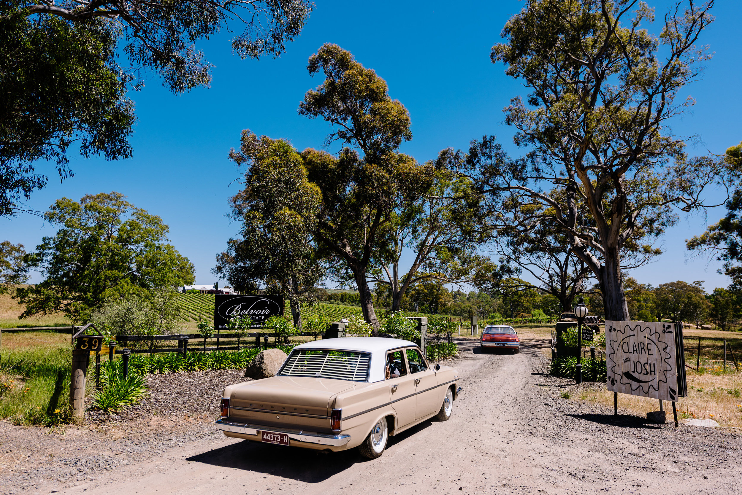 Bendigo_Wedding_Photography_Justin_Jim_BelvoirPark-81.JPG