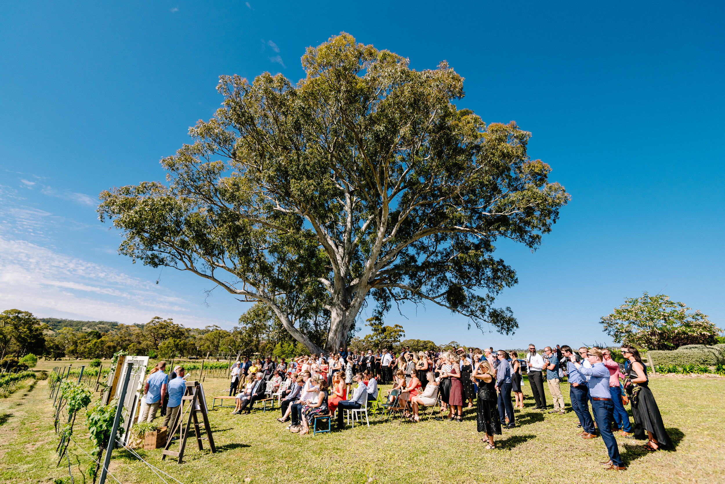 Bendigo_Wedding_Photography_Justin_Jim_BelvoirPark-142.JPG