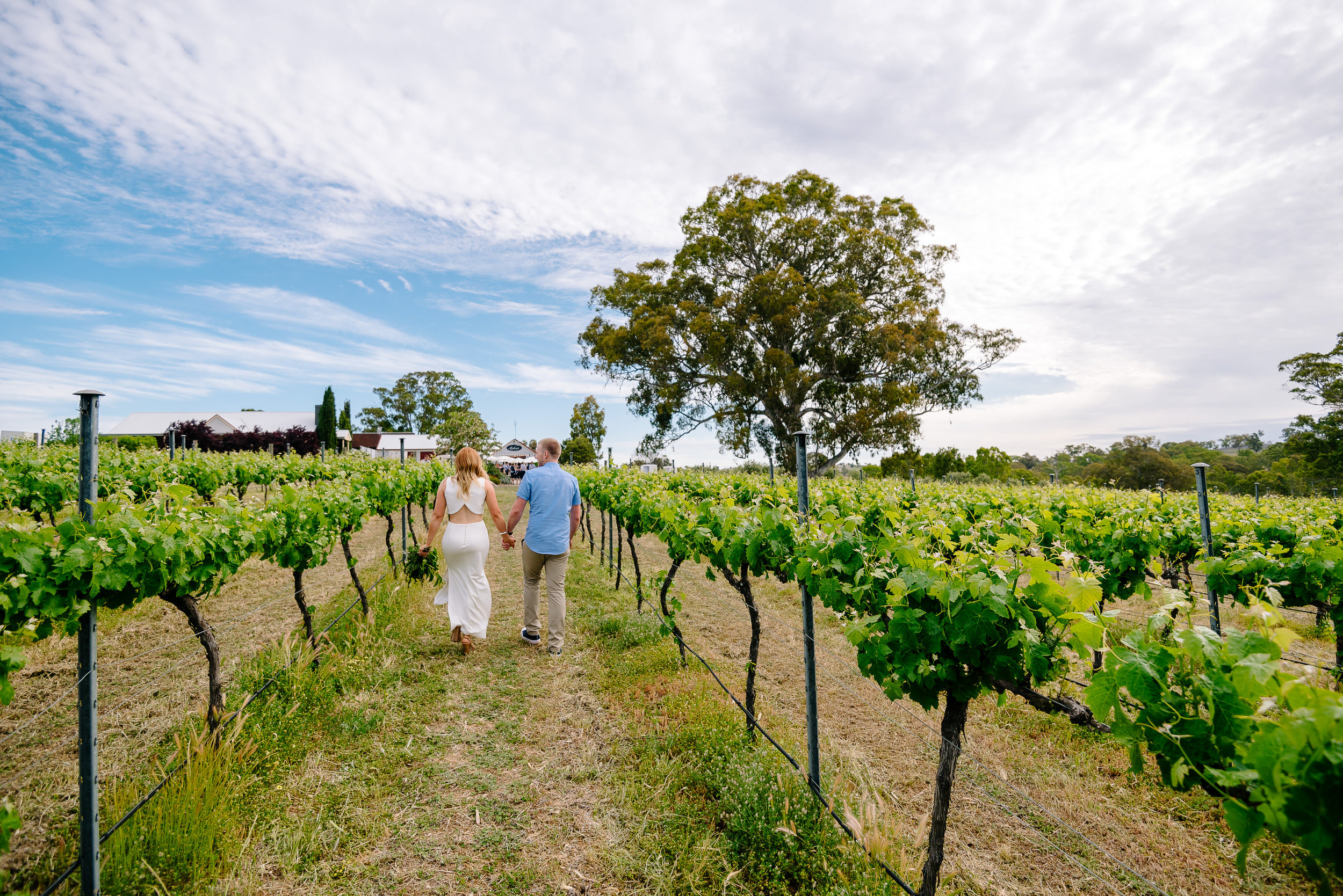 Bendigo_Wedding_Photography_Justin_Jim_BelvoirPark-218.JPG