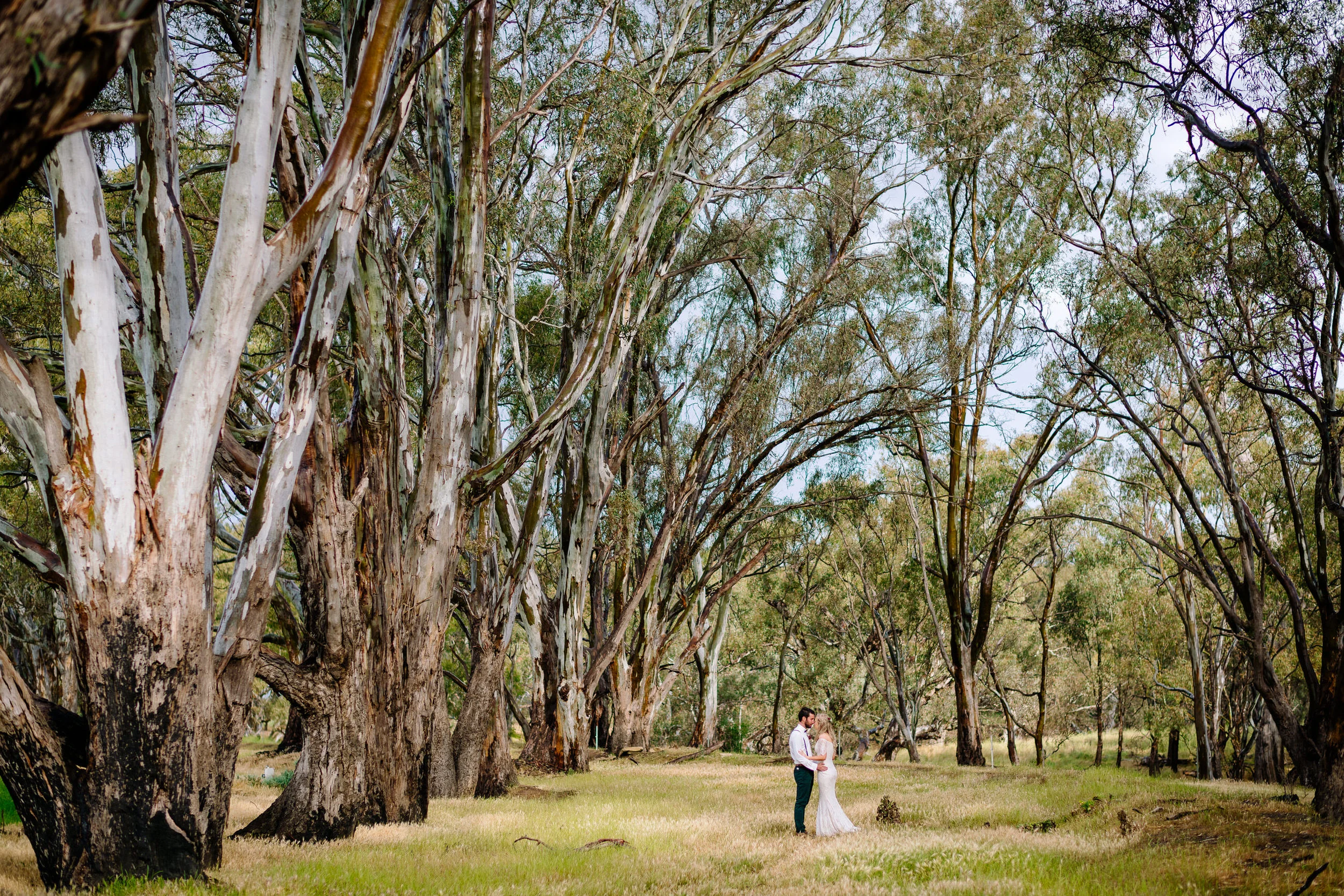 Justin_And_Jim_Photography_Backyard_Wedding201.JPG