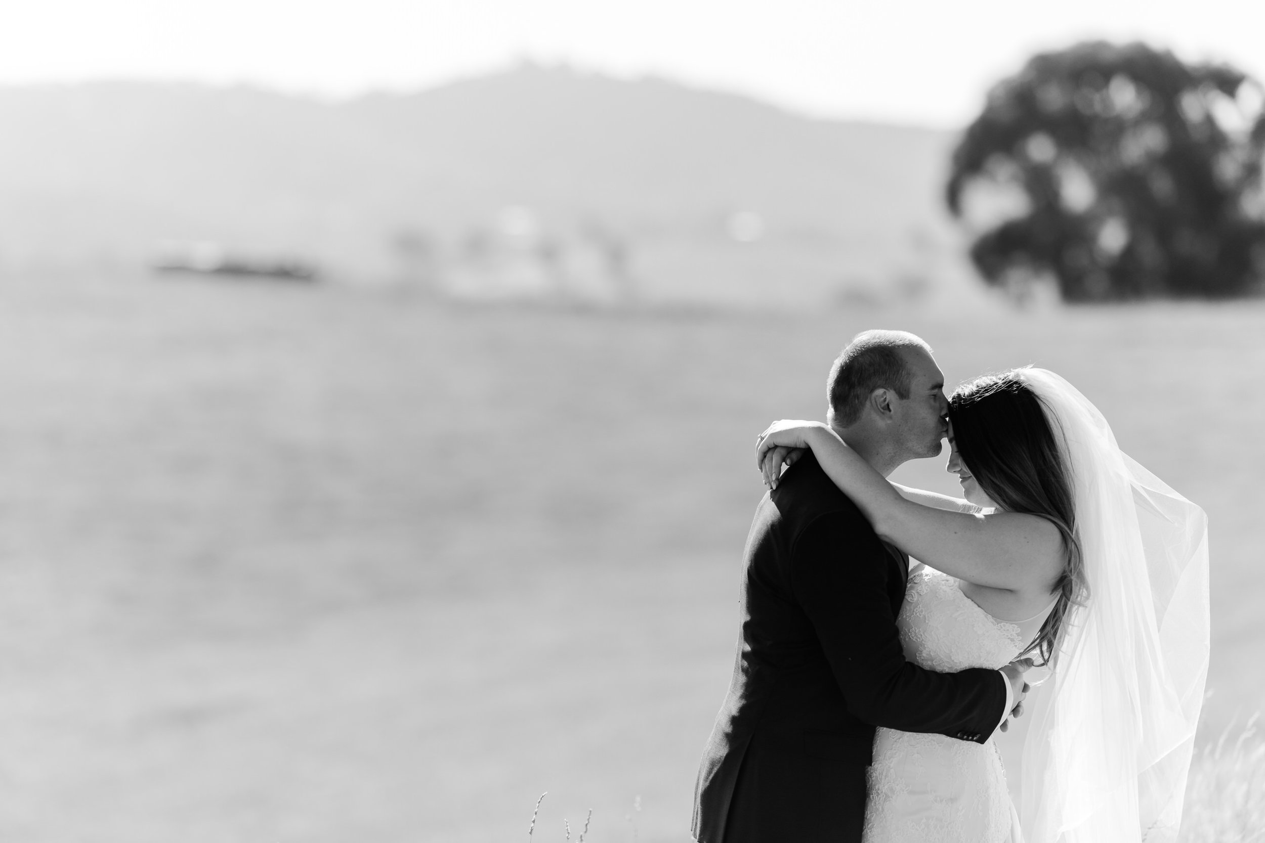 Justin_And_Jim_Photography_Balgownie_Winery_Wedding40.JPG