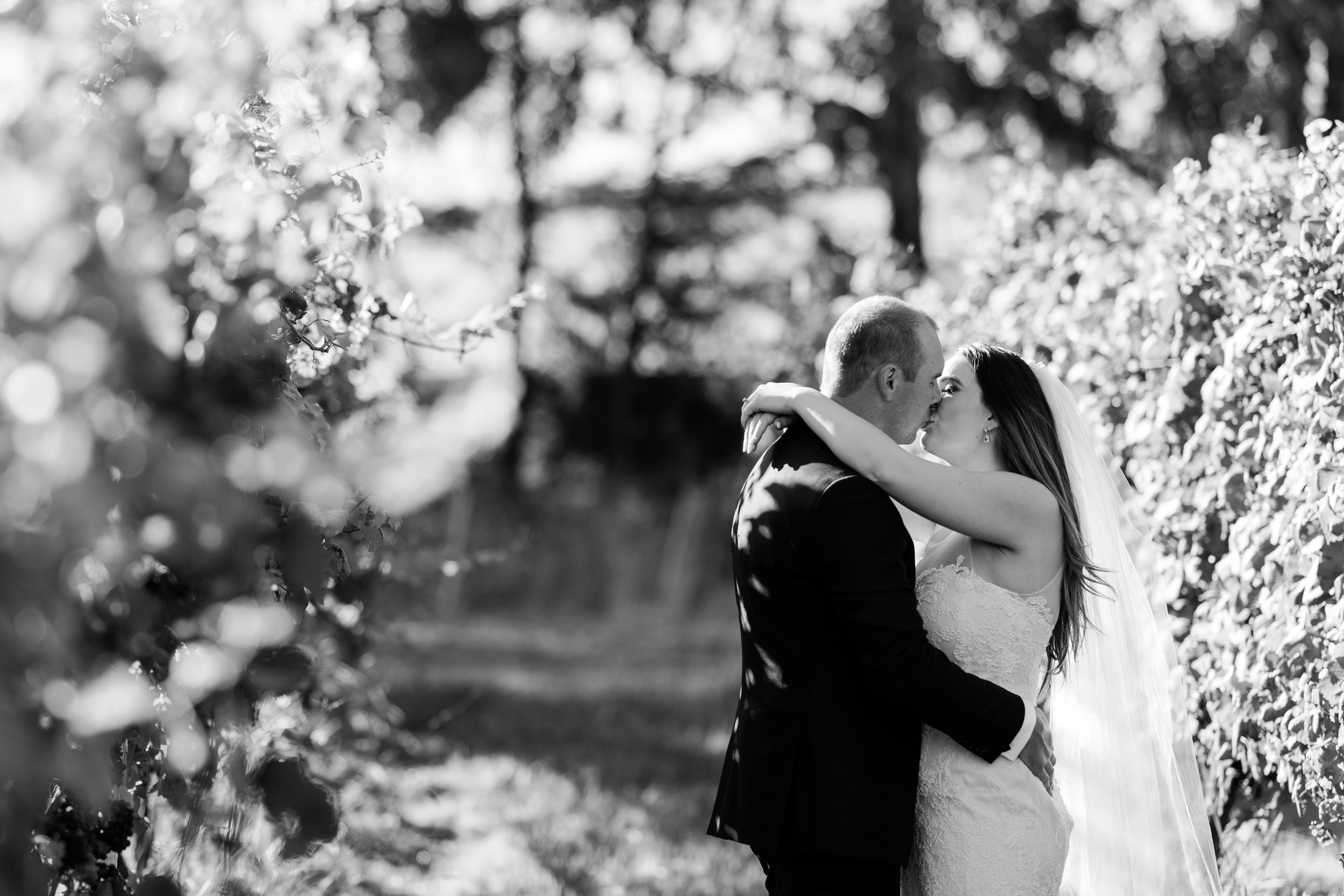 Justin_And_Jim_Photography_Balgownie_Winery_Wedding46.JPG