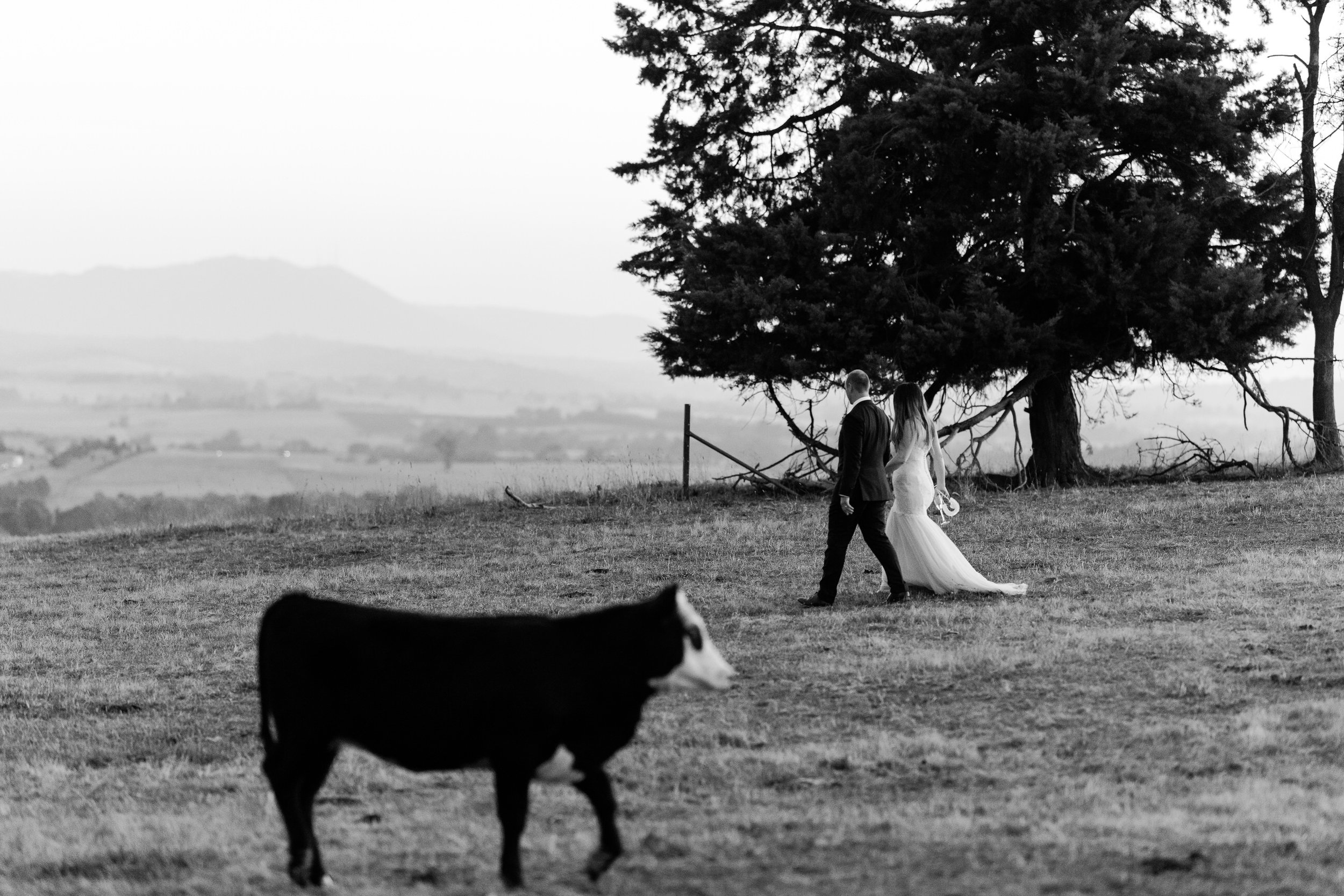 Justin_And_Jim_Photography_Balgownie_Winery_Wedding59.JPG