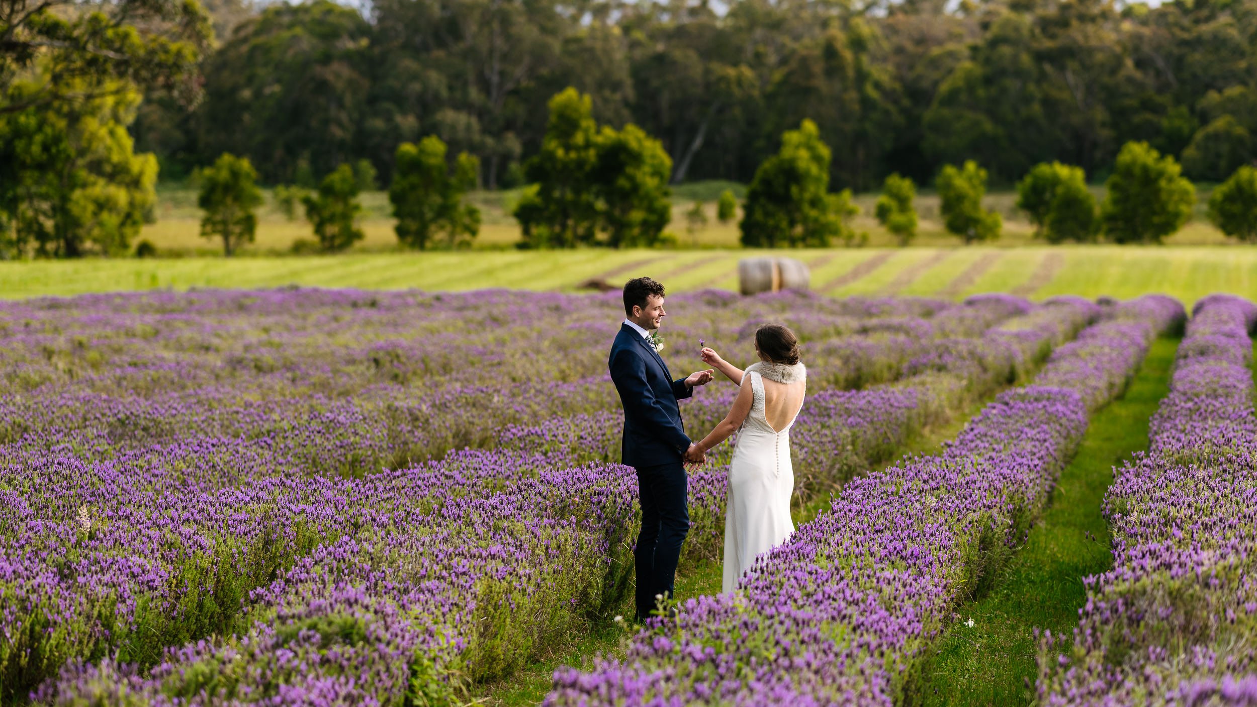 Sault_Daylesford_Wedding_H&I_Low-41.JPG