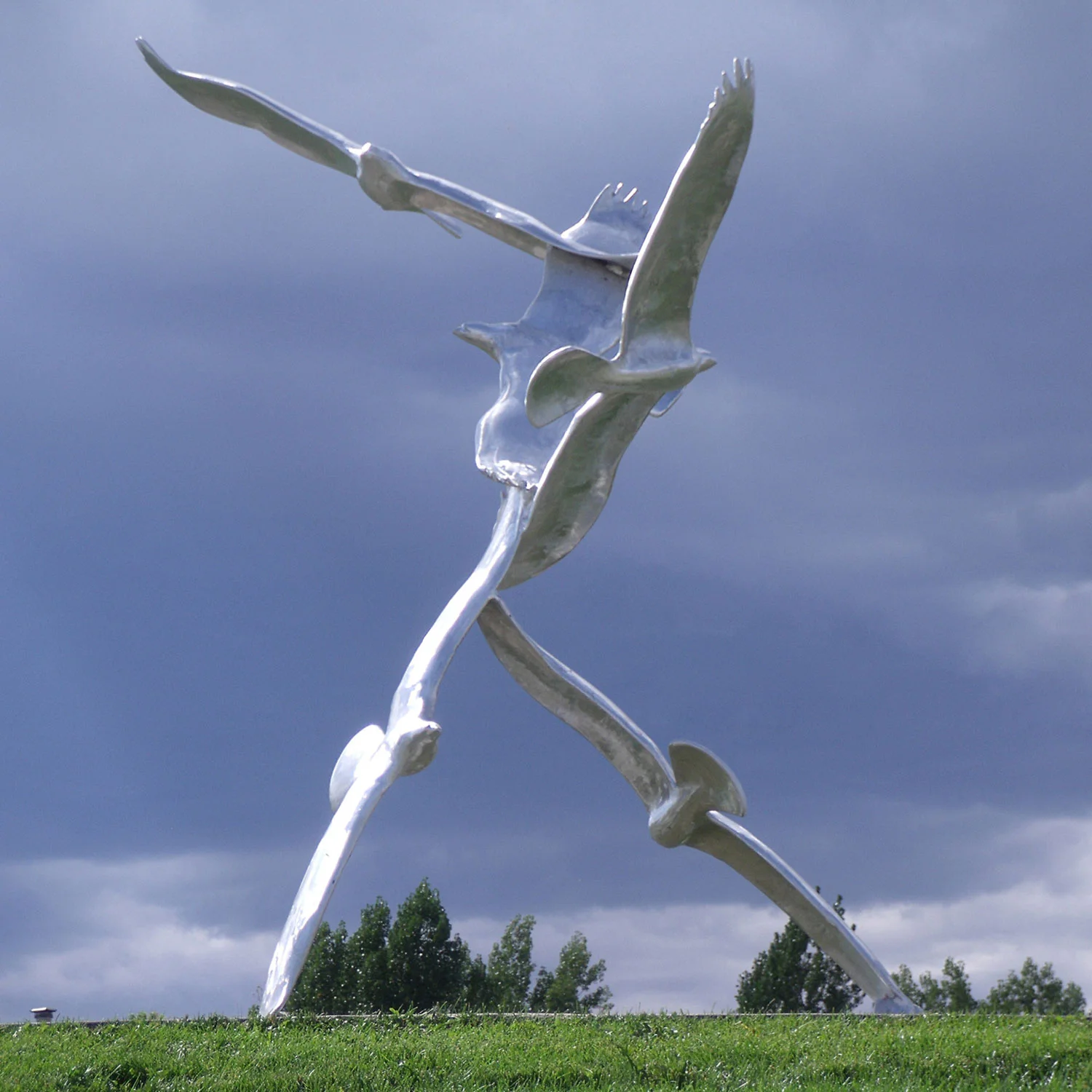 Birds of Aurora