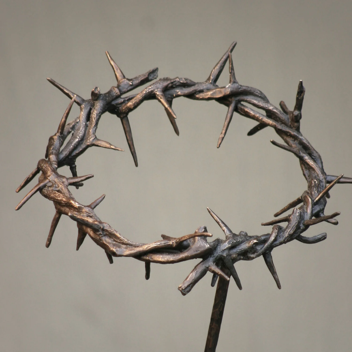 crown of thorns