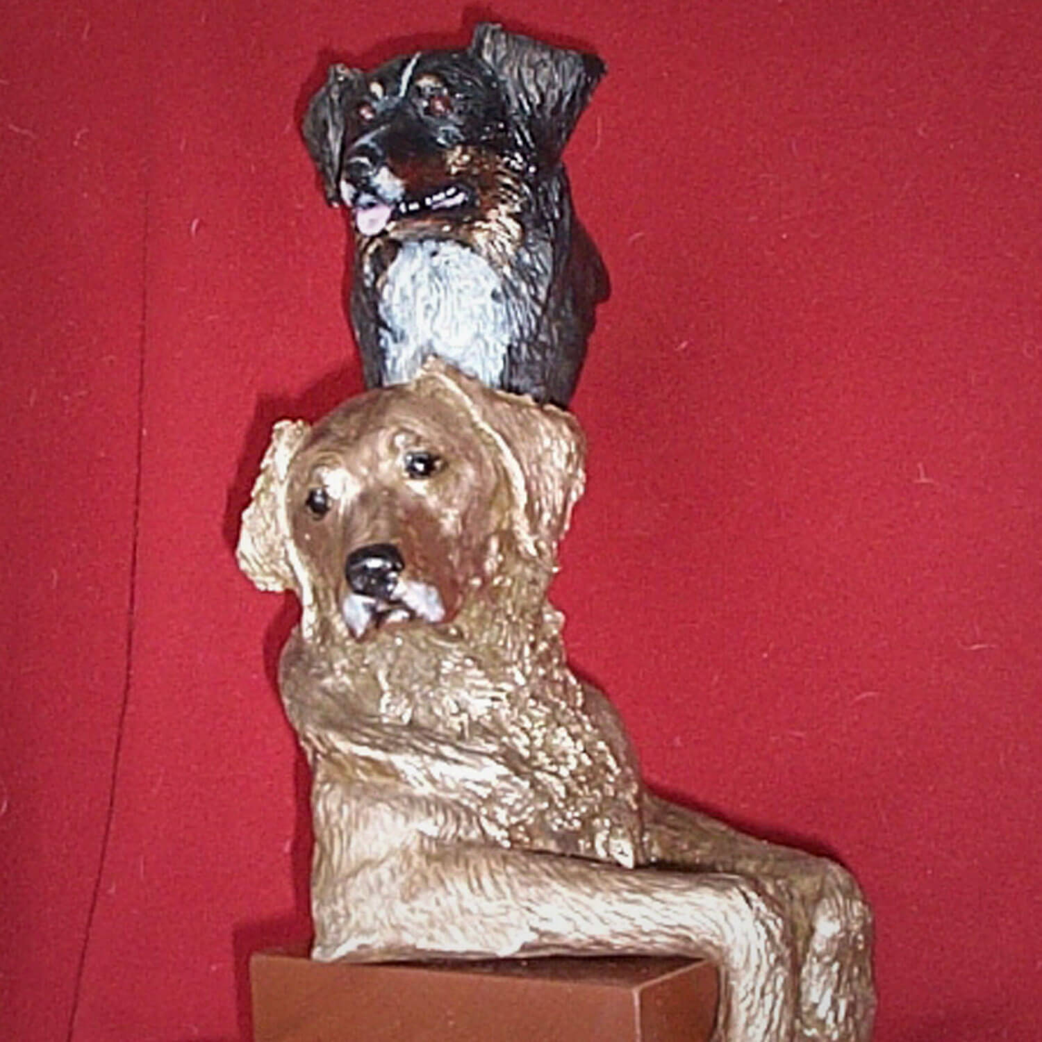 dogs