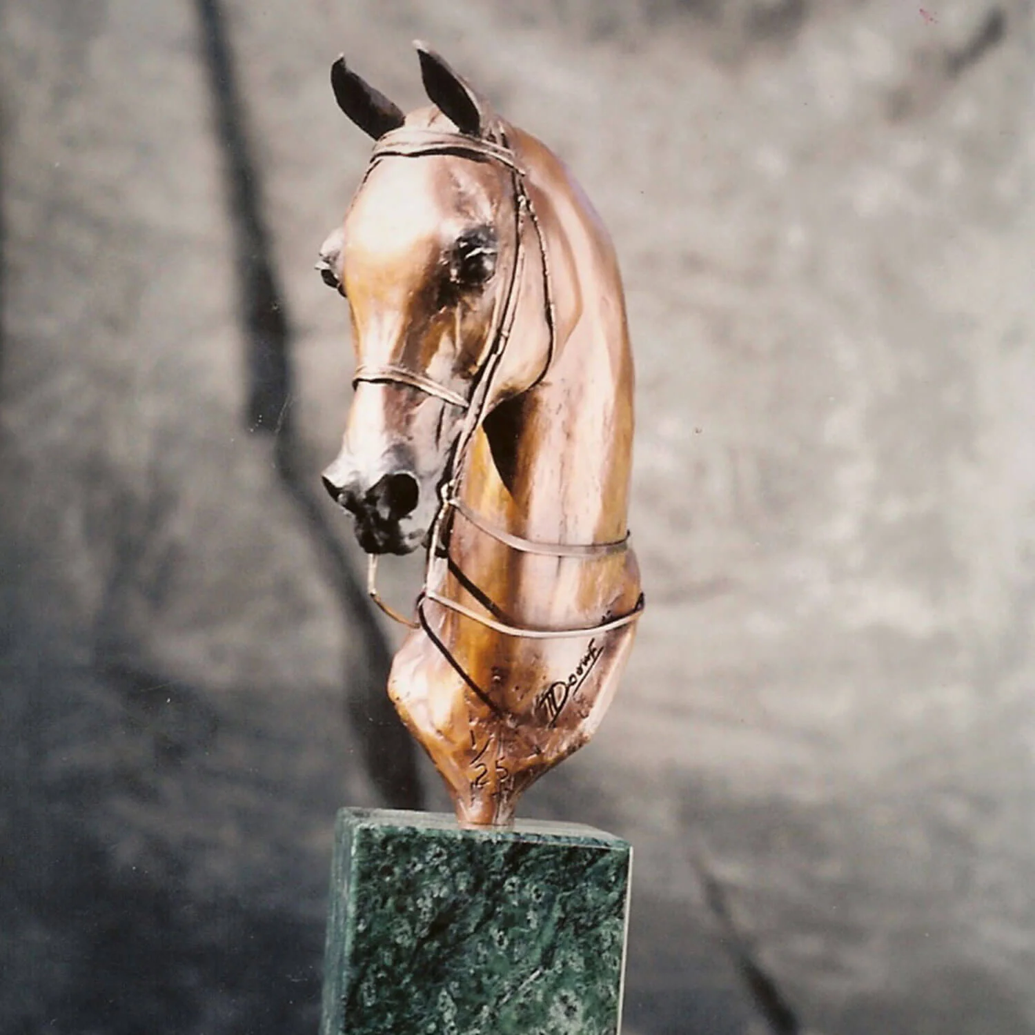 arab park horse