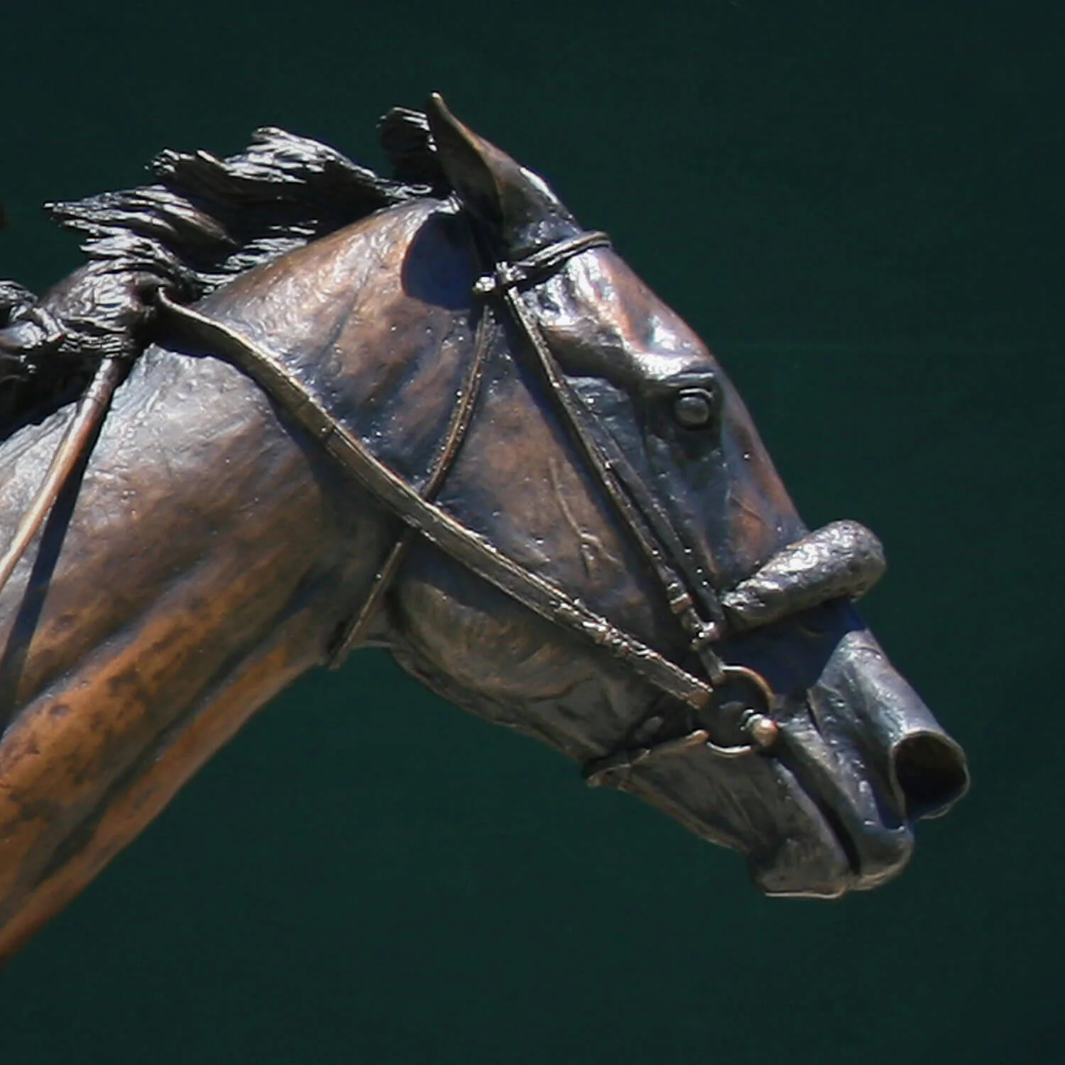 unrivaled (detail)