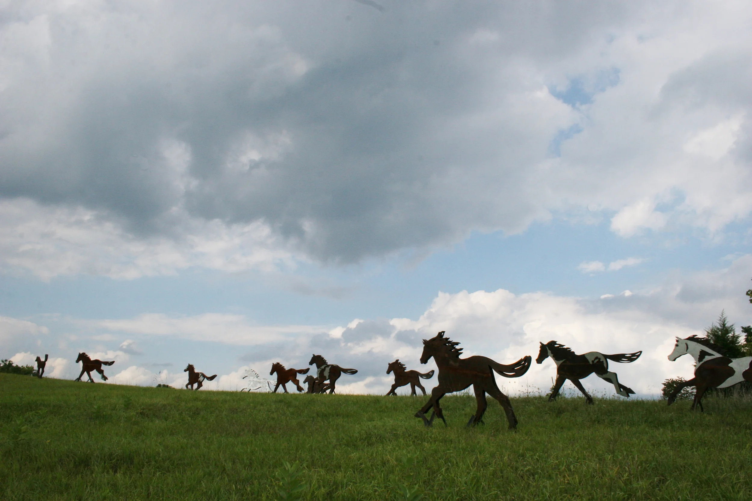 Steel Stampede